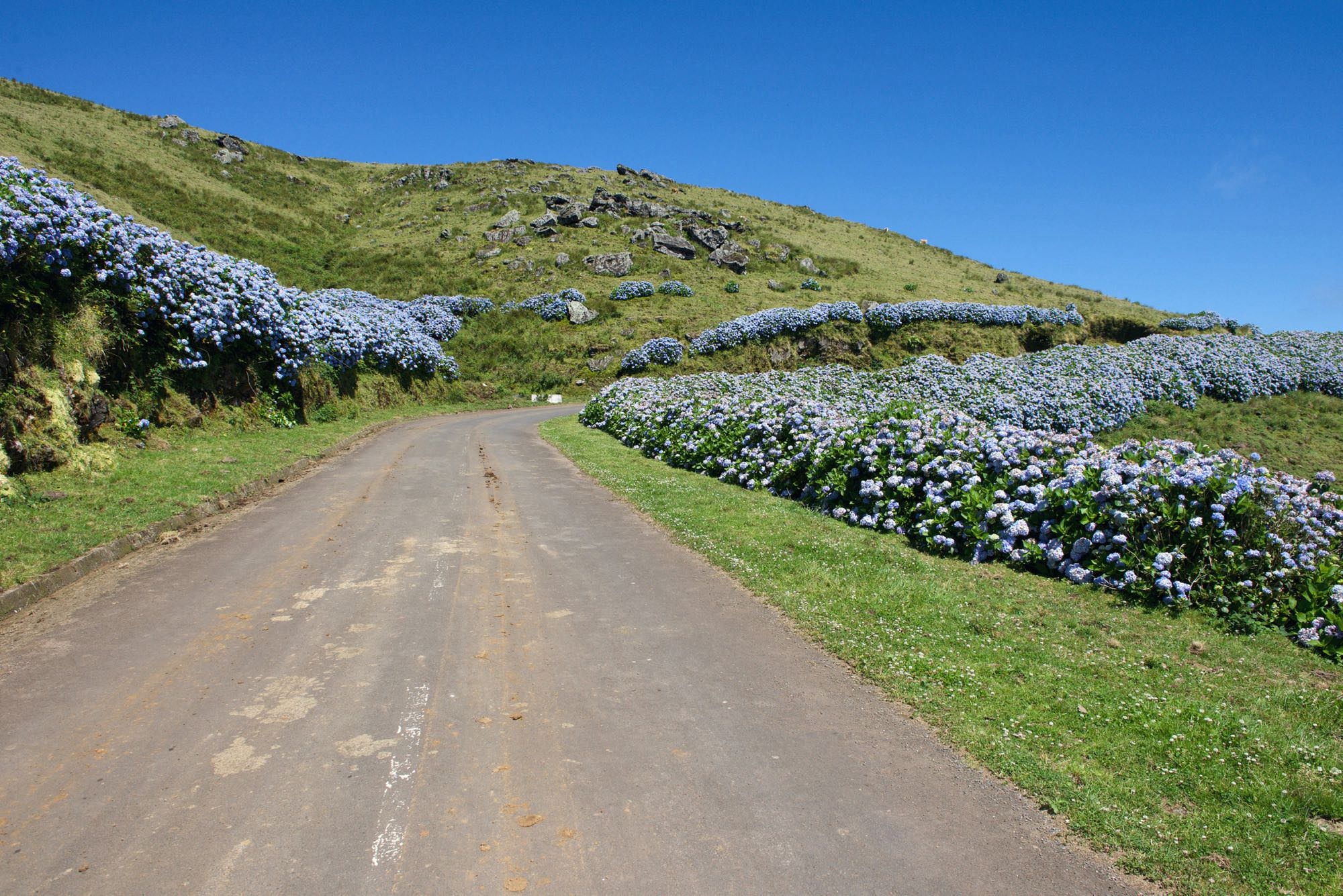 Straße vom Caldeirão nach Vila Nova