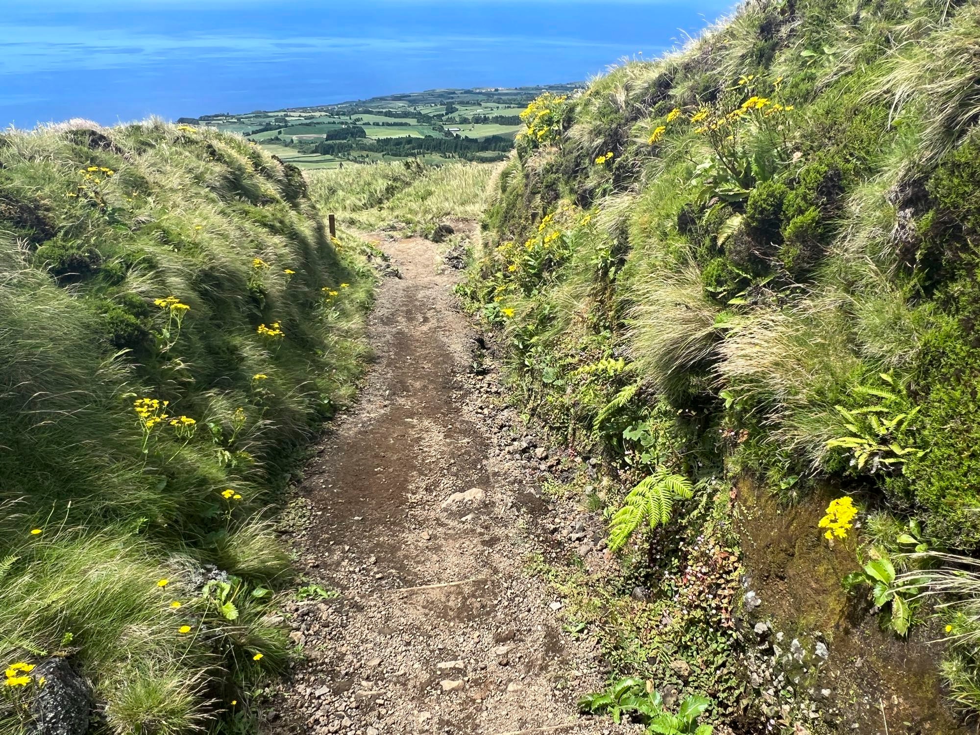 Abstieg vom Pico das Éguas