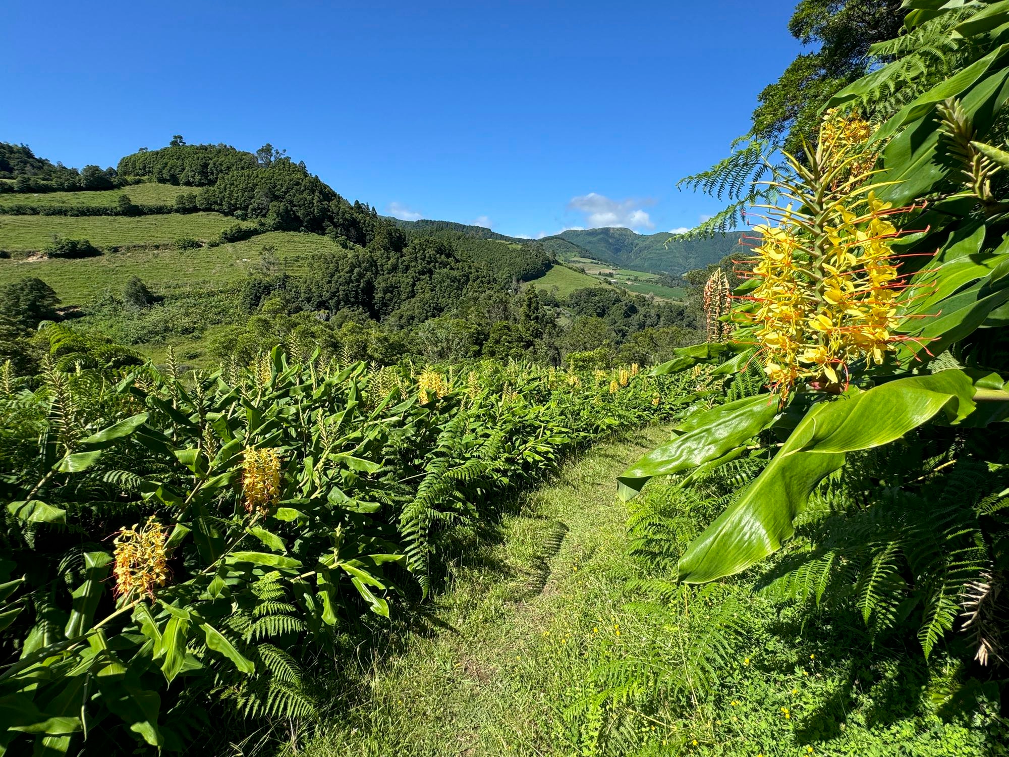 Abstieg nach Faial da Terra