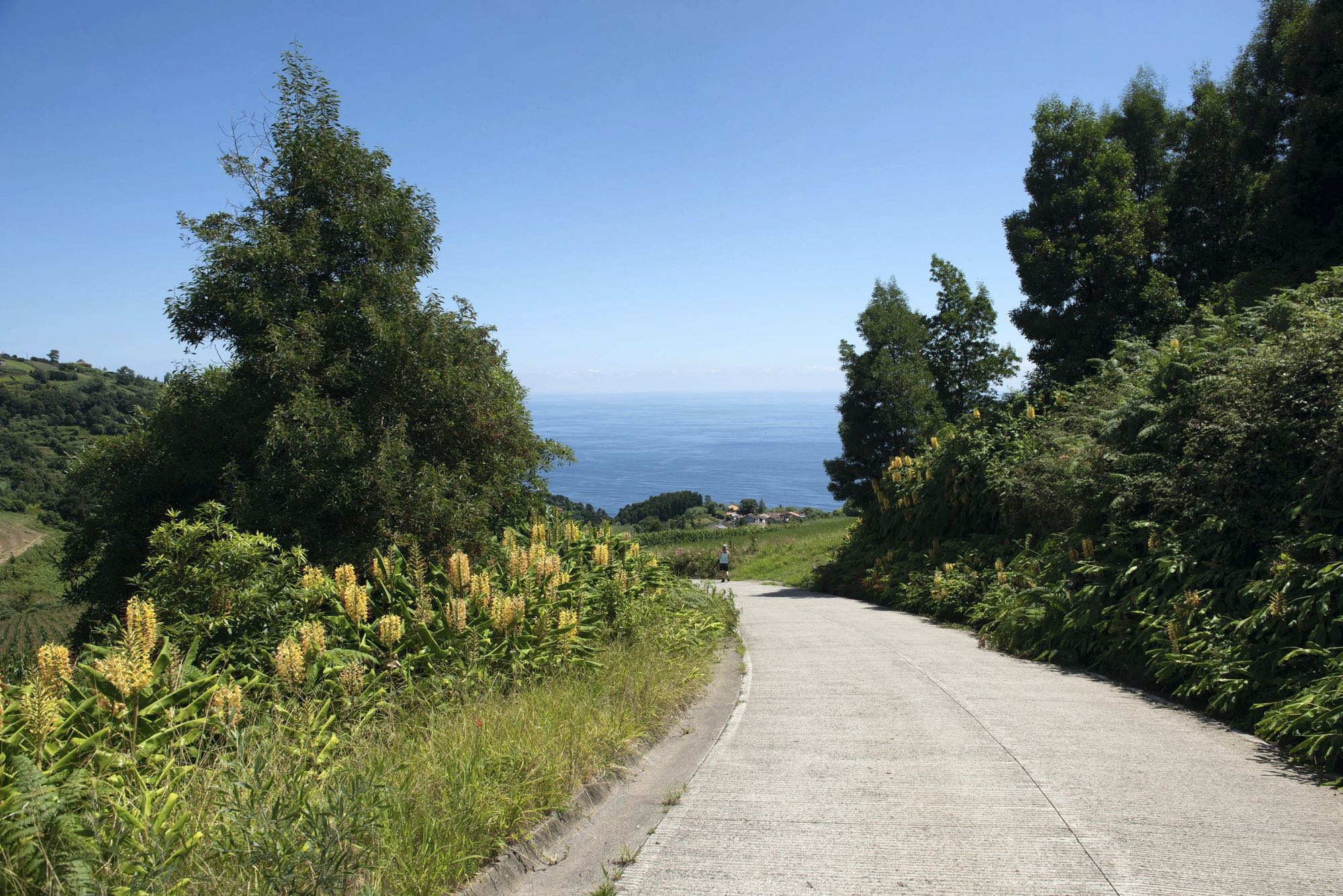 auf dem Weg nach Lomba das Fagundas