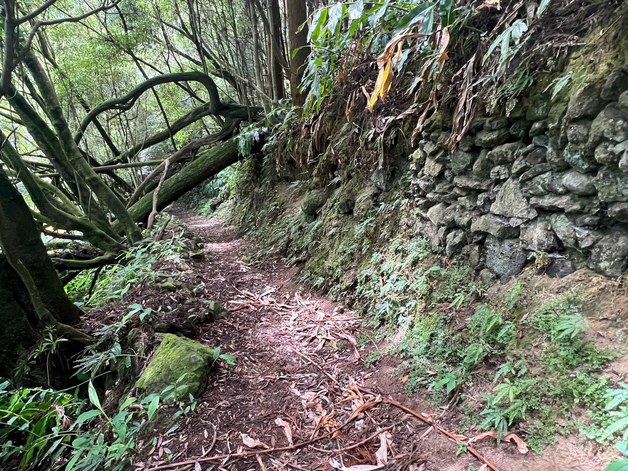 Wanderweg oberhalb Lomba das Fagundas