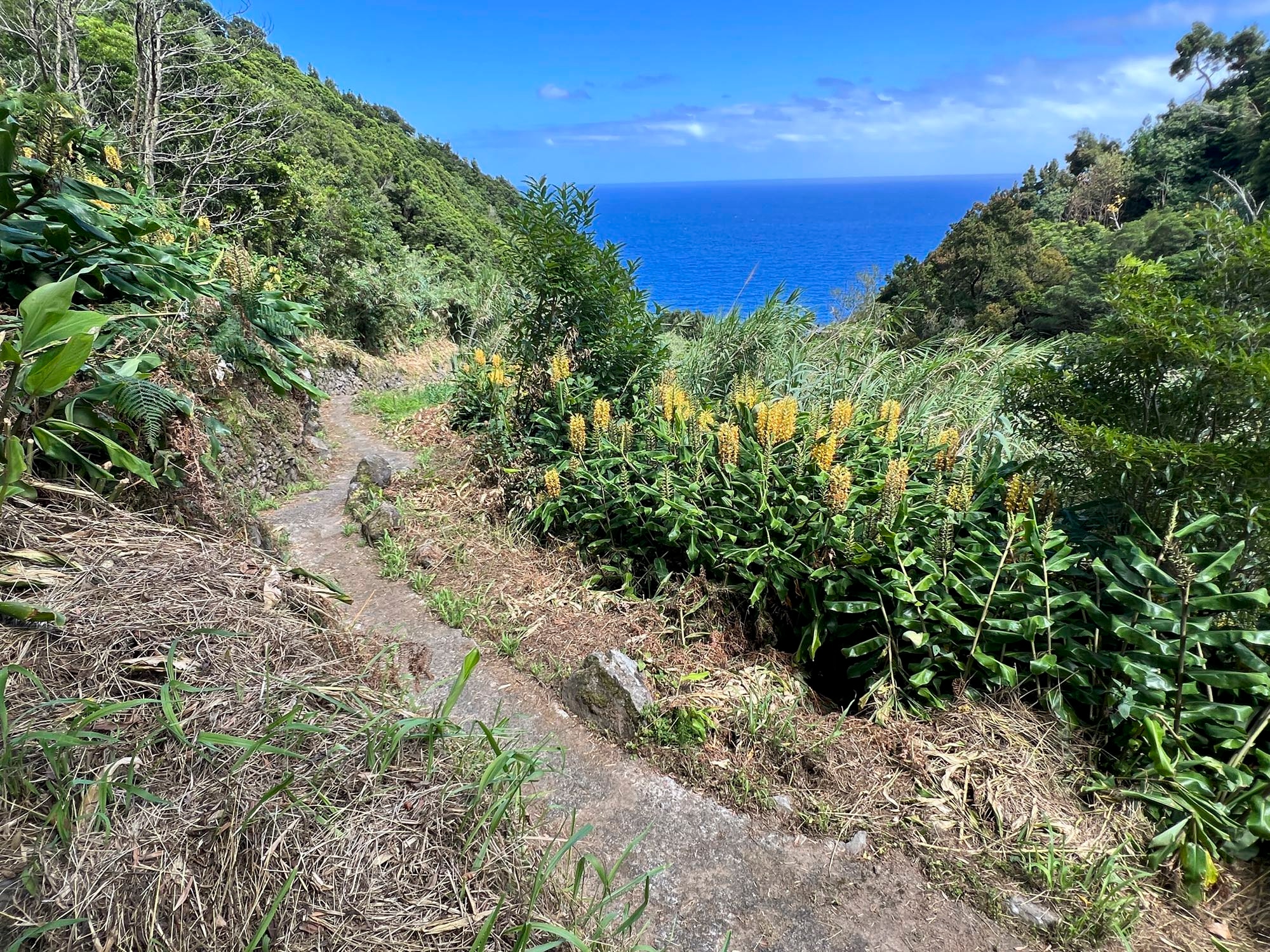 Abstieg von Pedreira