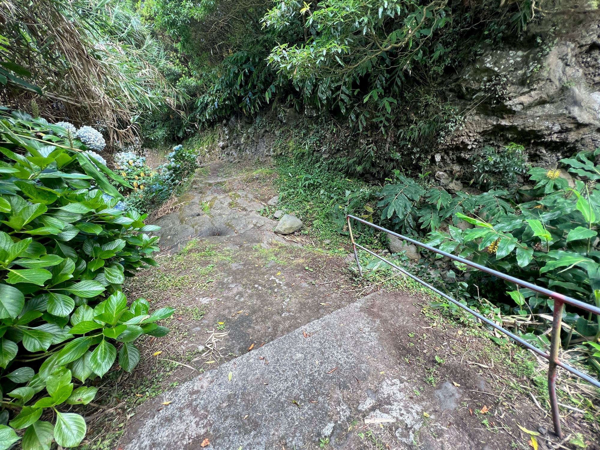 Abstiegsweg nach Fajã do Araújo