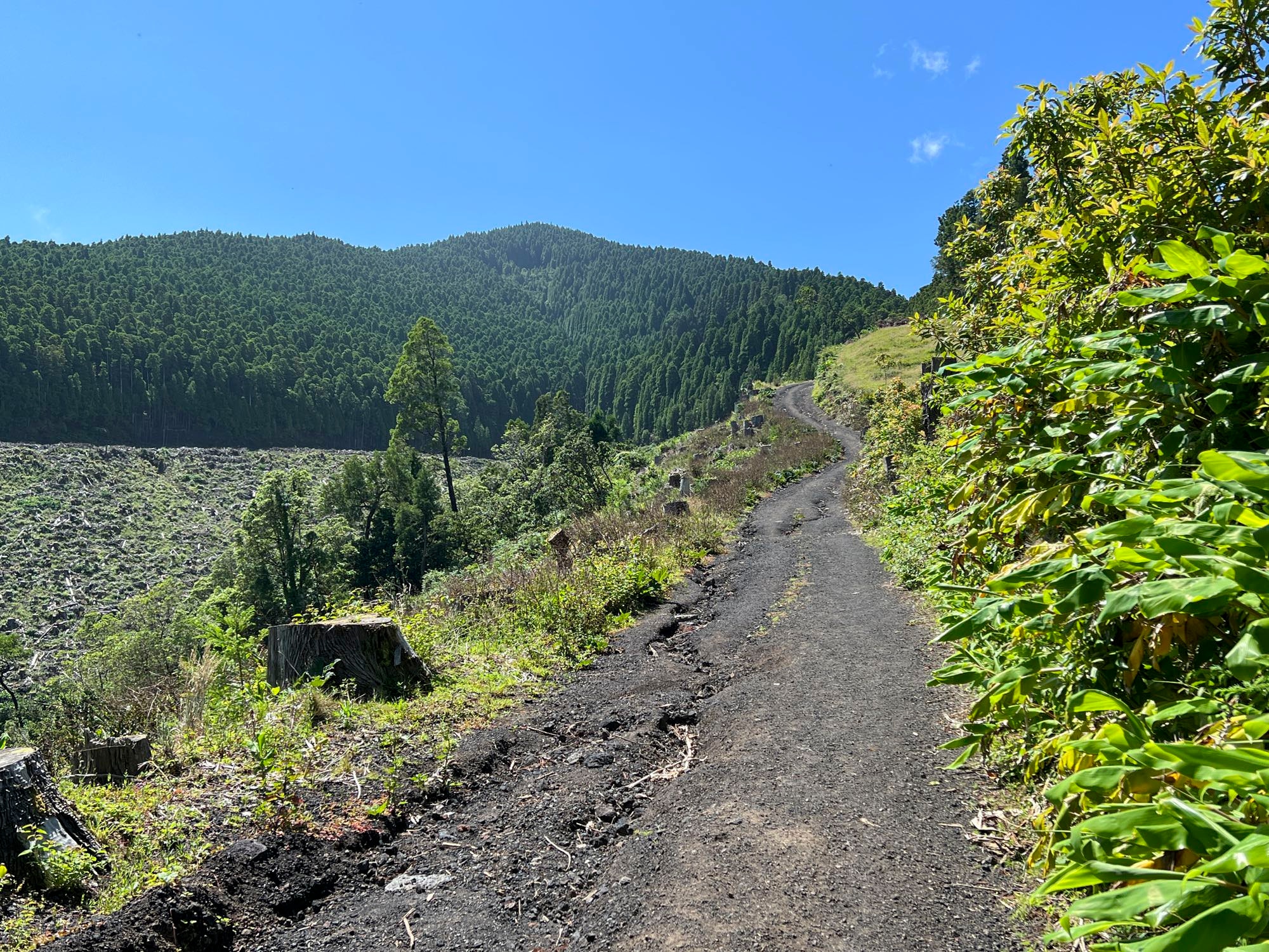 Aufstieg zum Pico da Vara