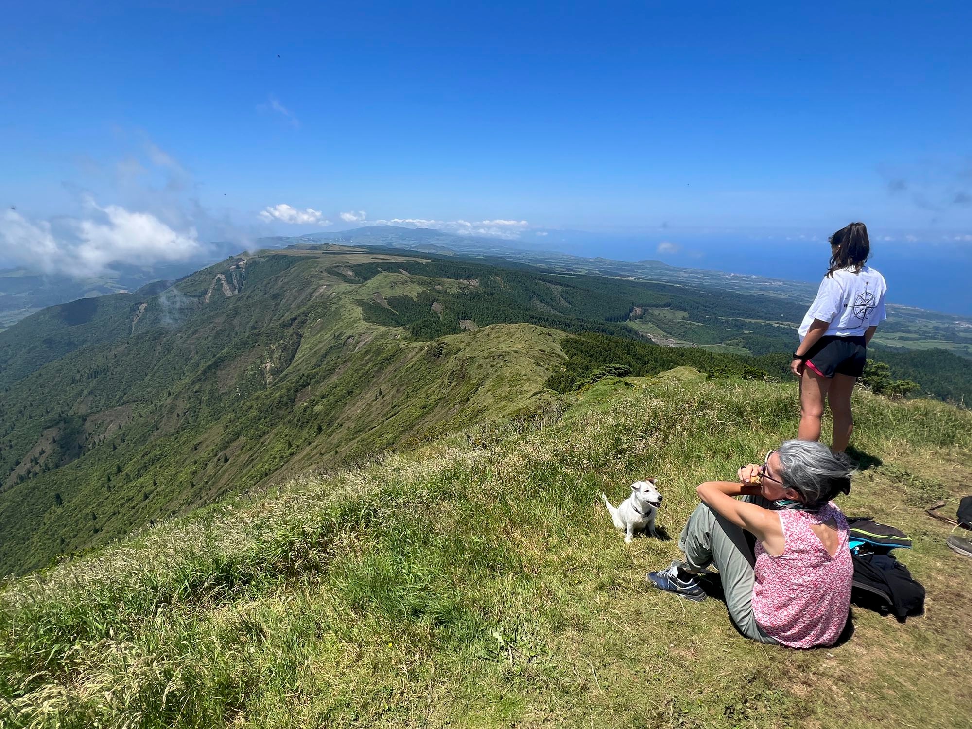 Pico da Vara