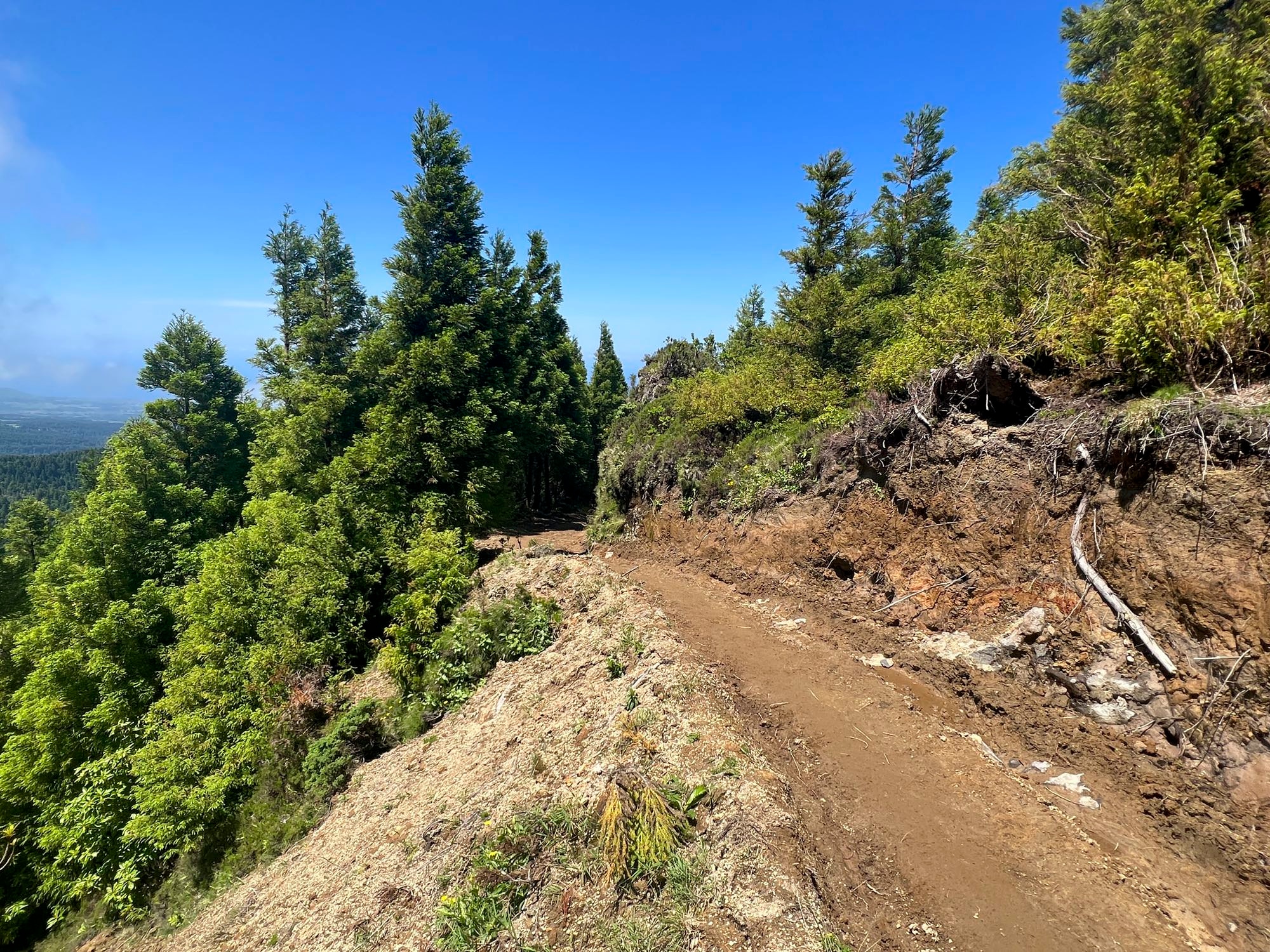 Höhenweg am Pico da Vara