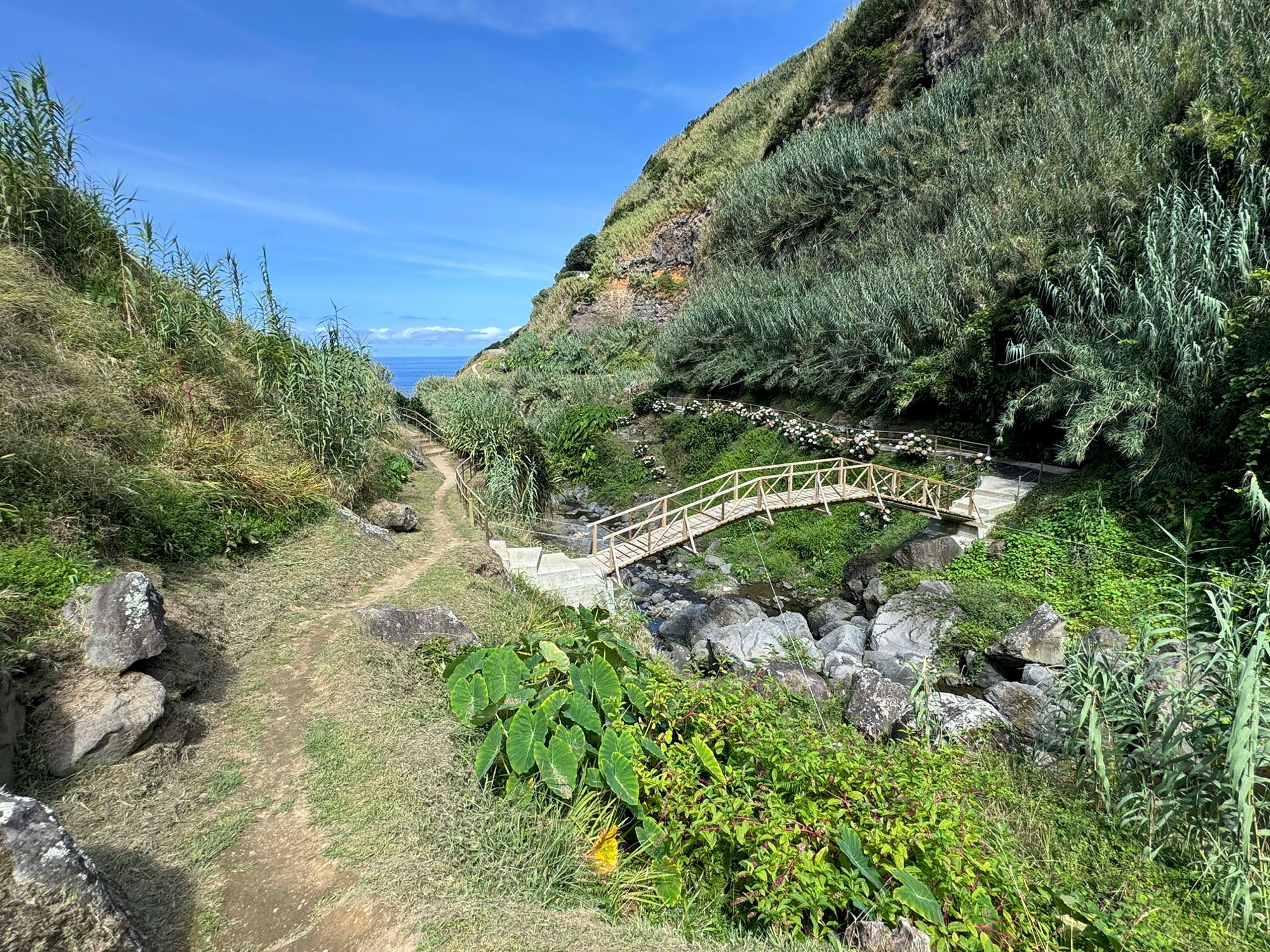 Holzbrücke über den Ribeira do Cachaço