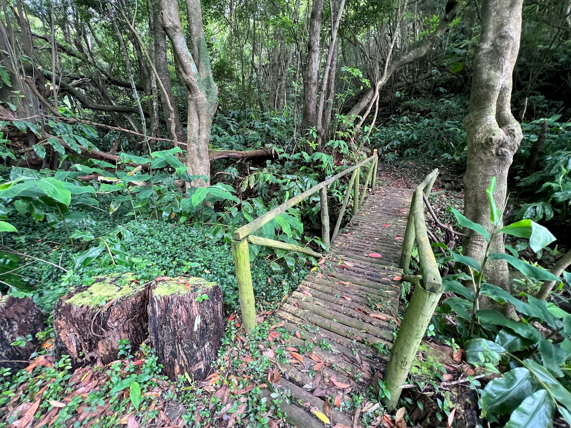 Brücke über den Ribeira da Praia