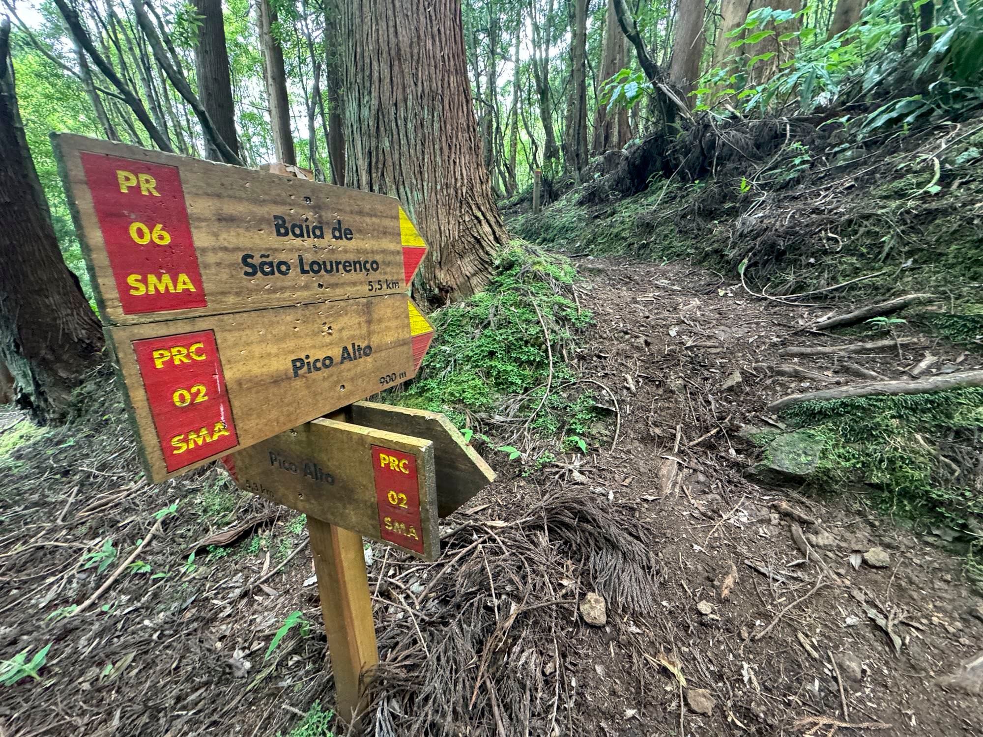 Wegegabelung beim Abstieg vom Pico Alto