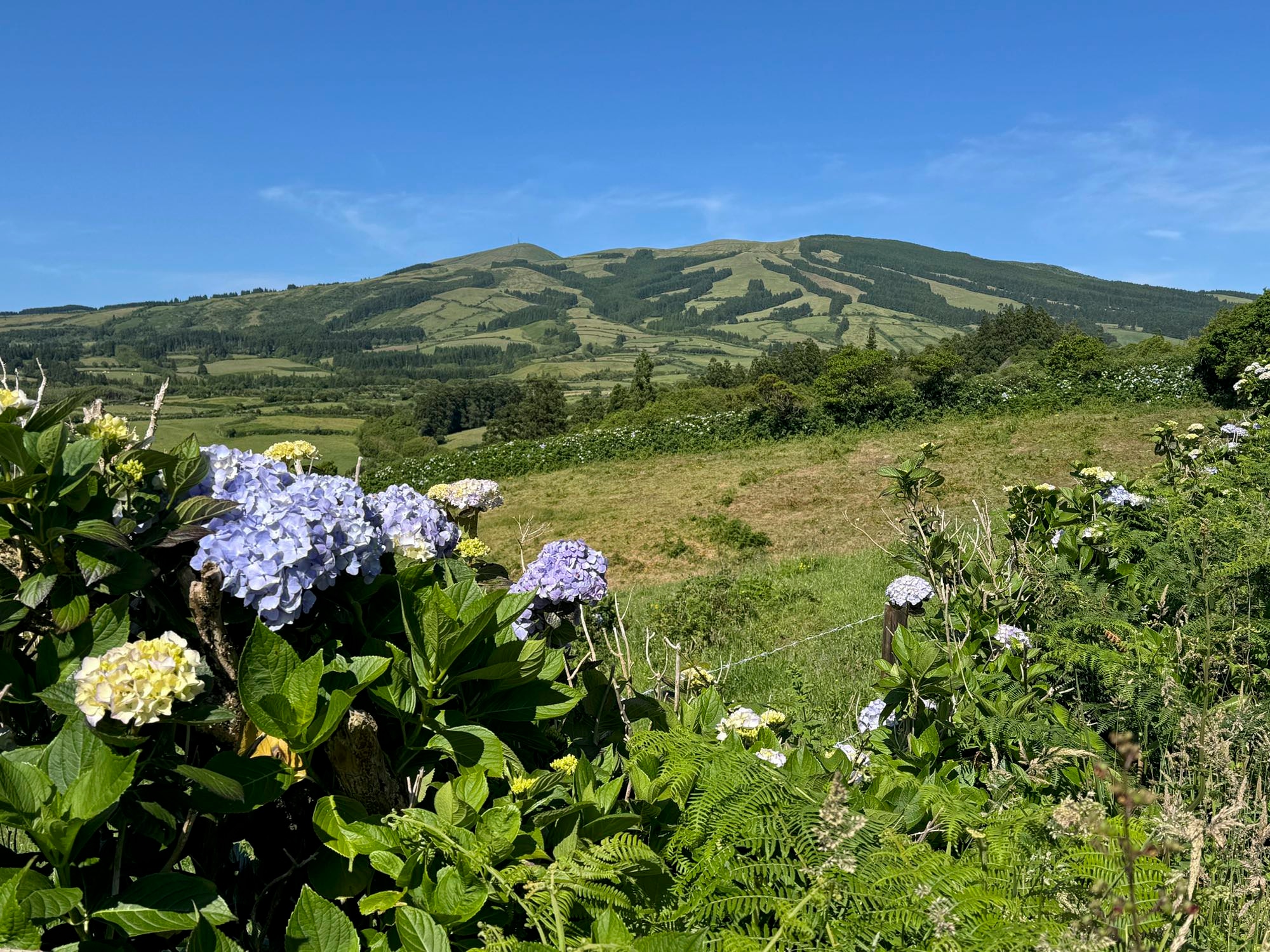 Blick zurück auf das Massiv der Caldeira