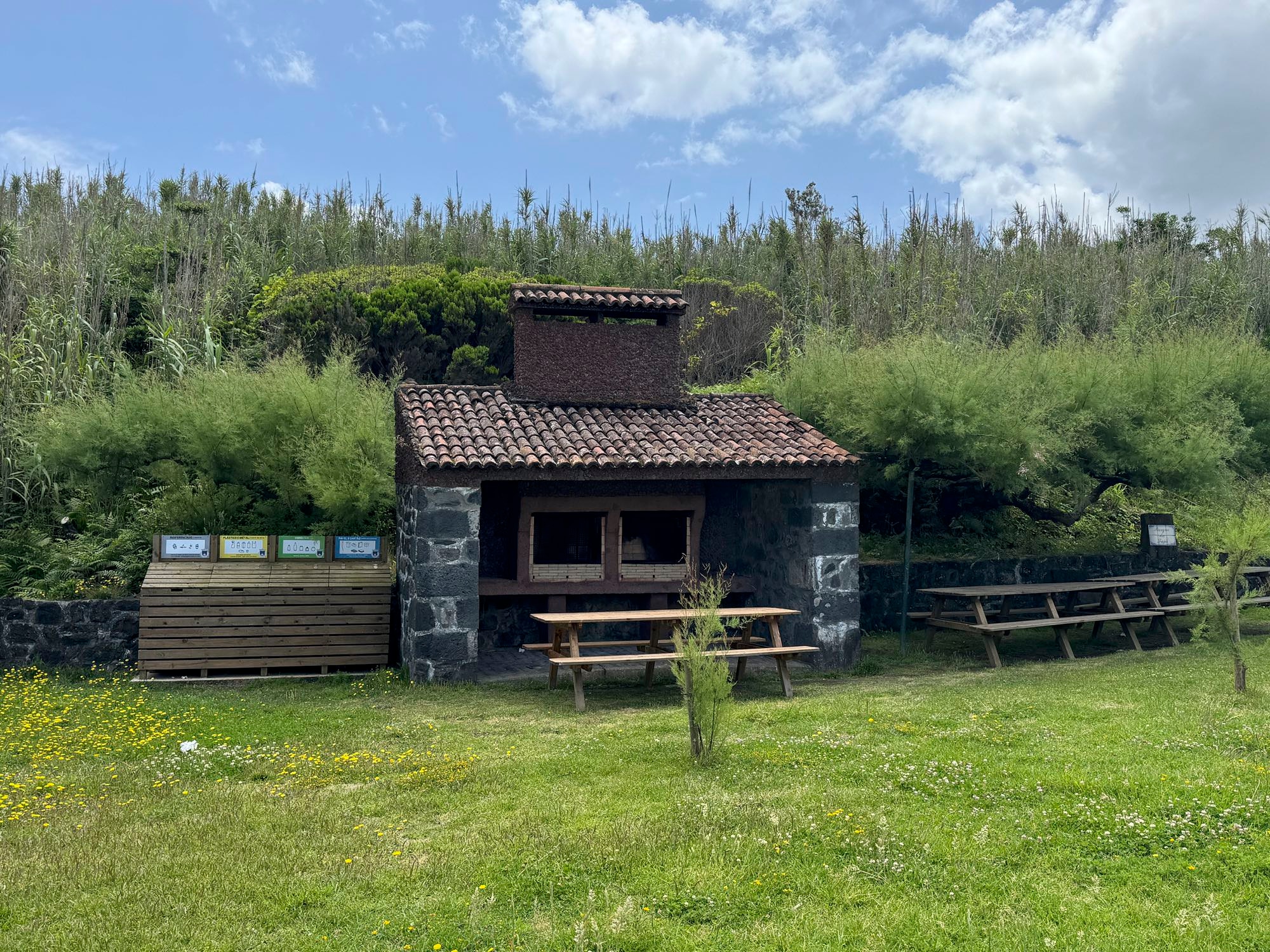 Galeriebild 18