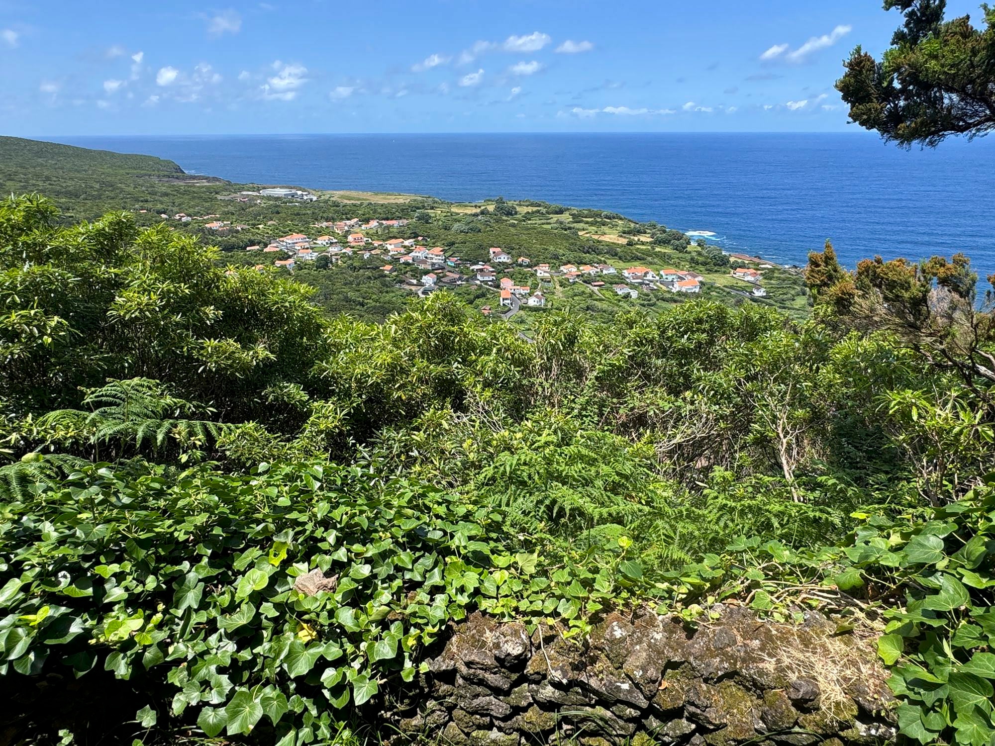 Blick auf Fajã