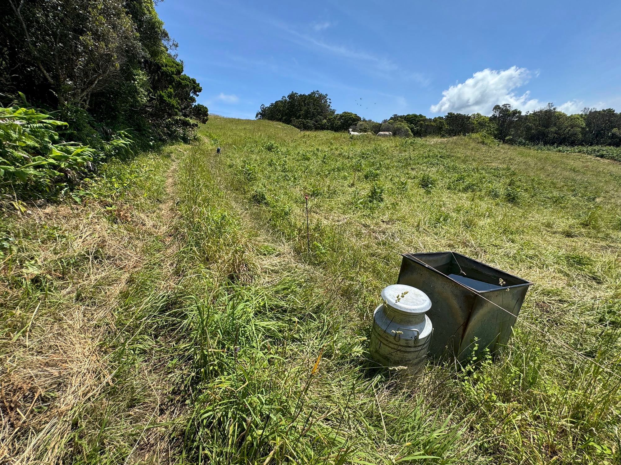 Aufstieg oberhalb von Capelo