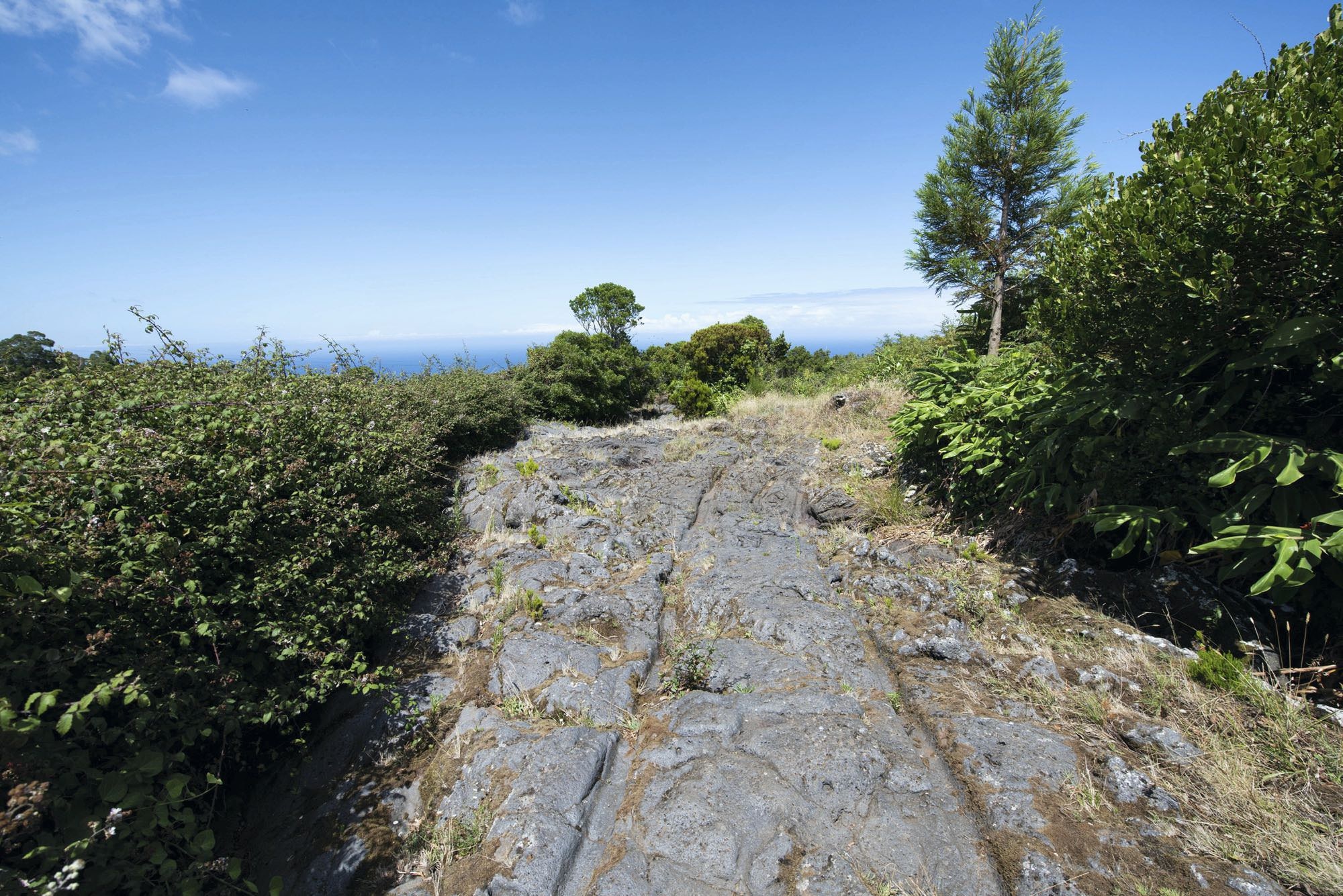 Alte Karrenwegspuren in Ribeira da Areia