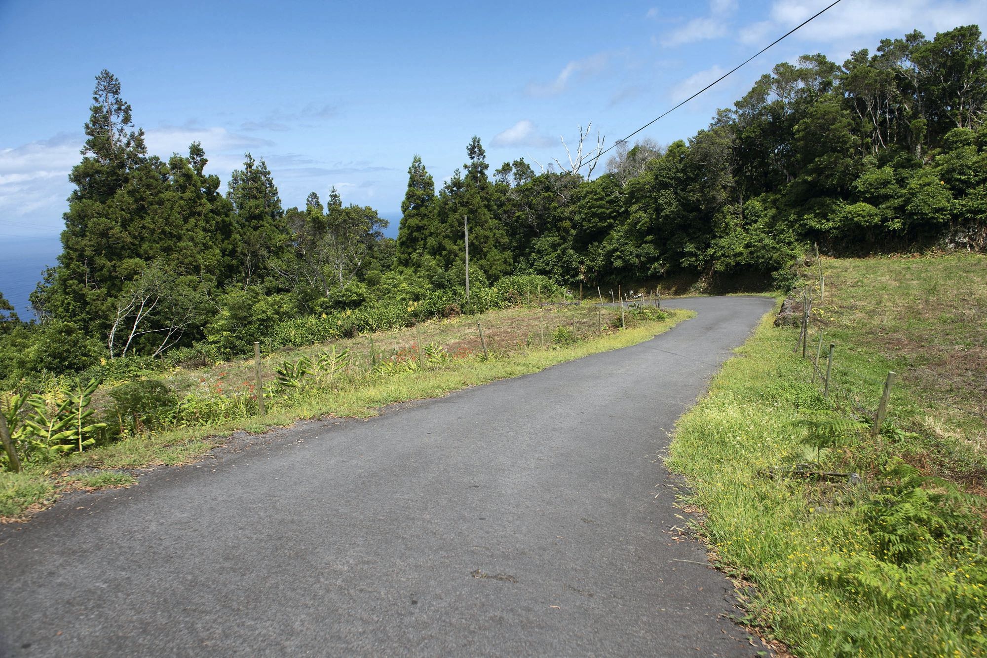 Der Rückweg von Fajã da Ribeira da Areia folgt einer schmalen Straße