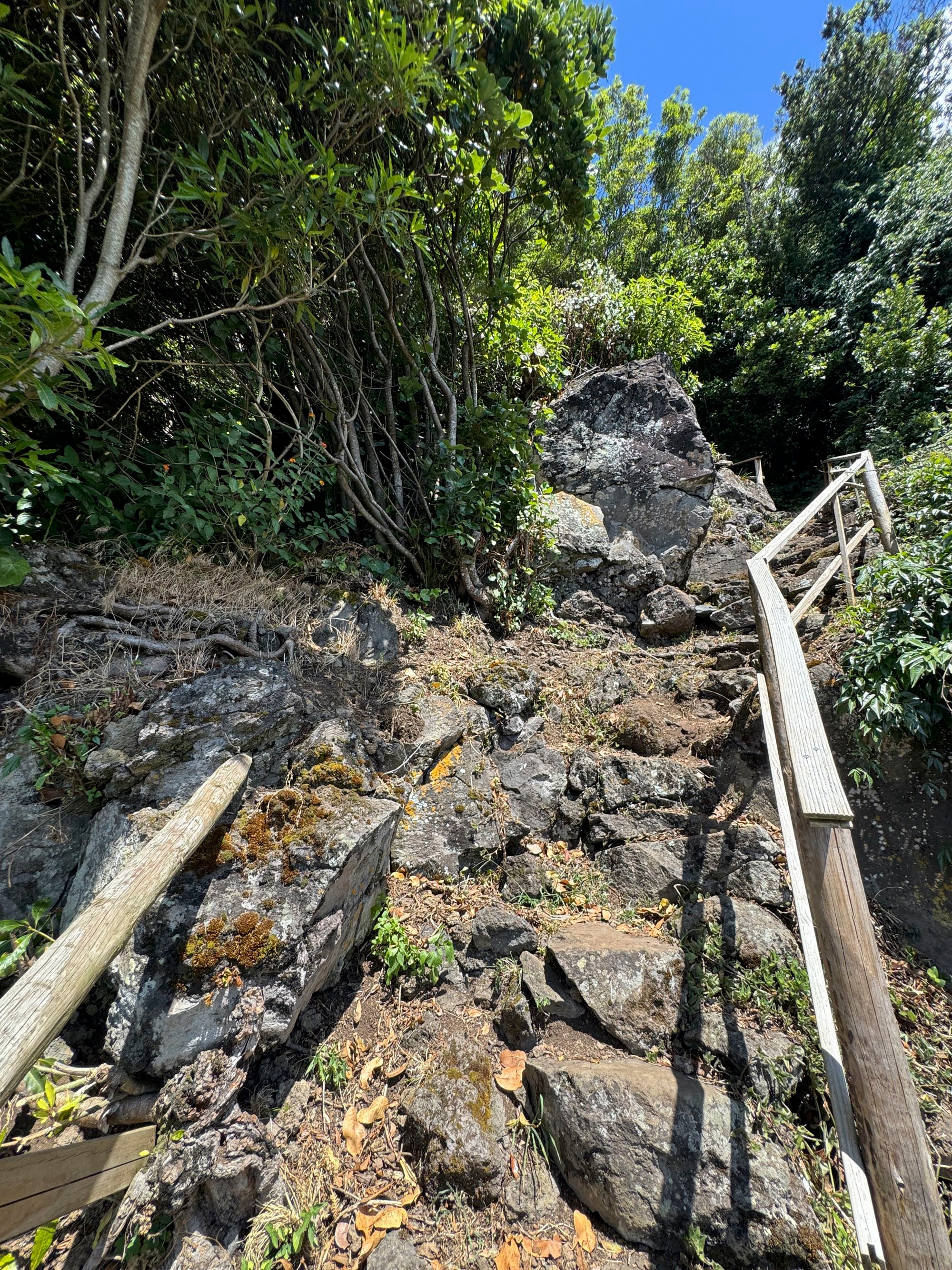 steiler Abstiegsweg nach Fajã Grande