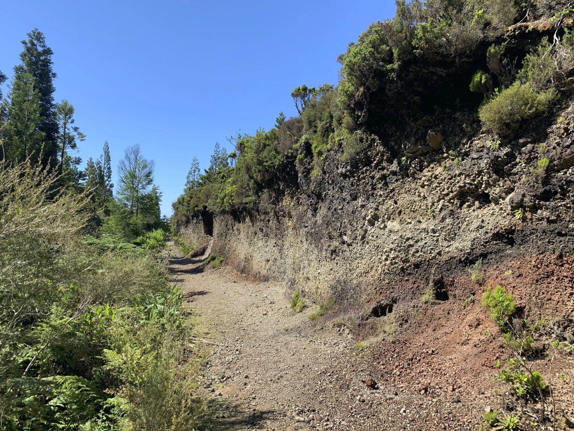 Entlang des Aufstiegseg zum Pico da Lagoínha