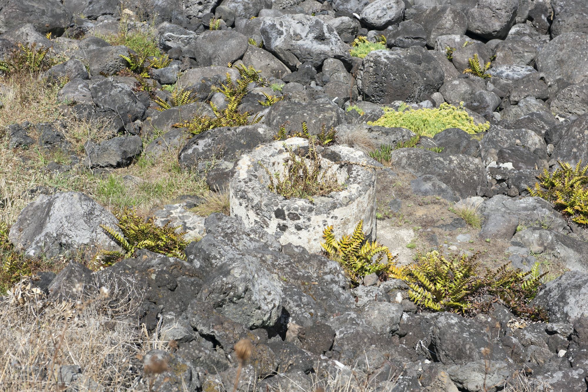 Gezeitenbrunnen in Biscoitos