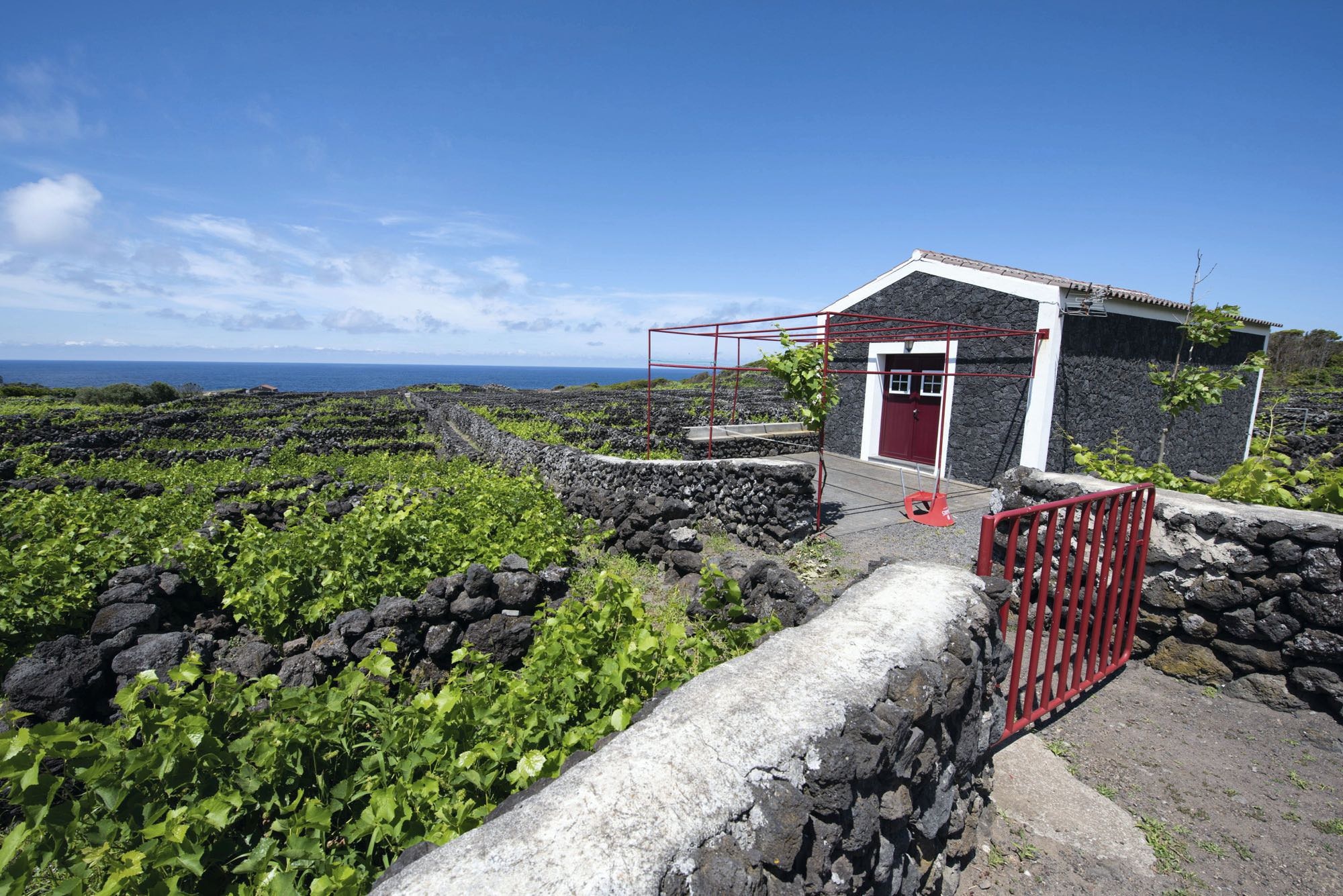 In der Adega Dimas bekommt man regionale Weine