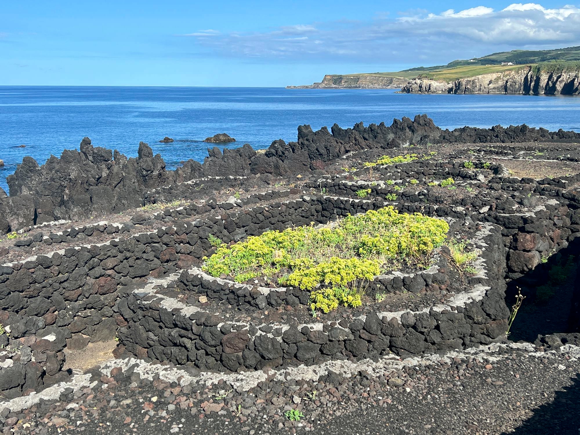 Alte Schützenstellung (trincheiras)