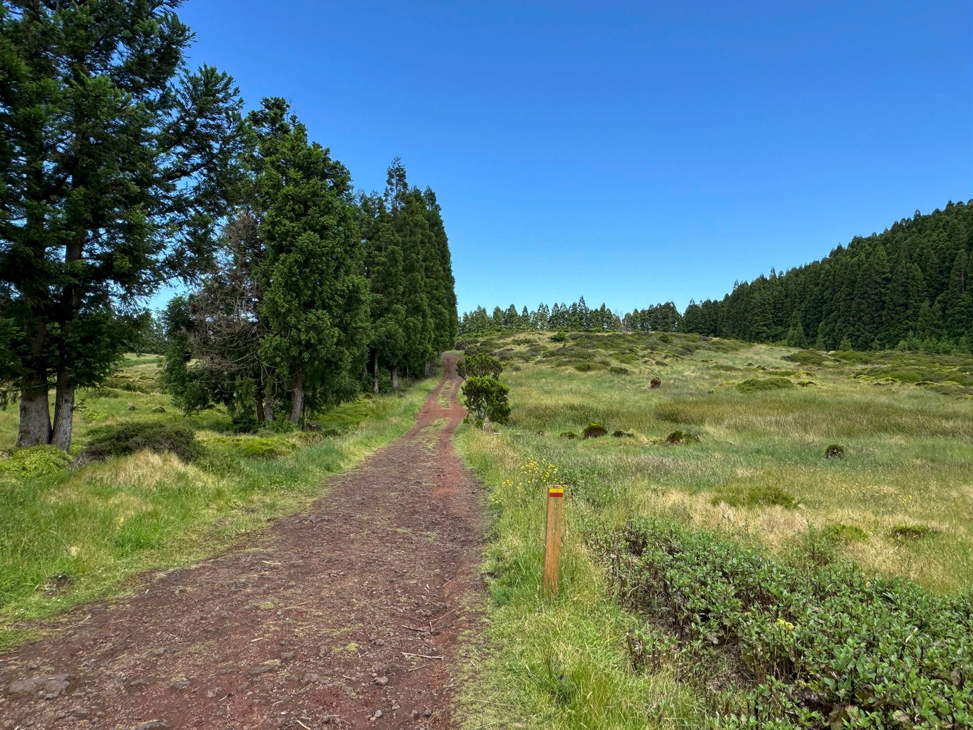 Bequemer Feldweg zu Beginn der Tour