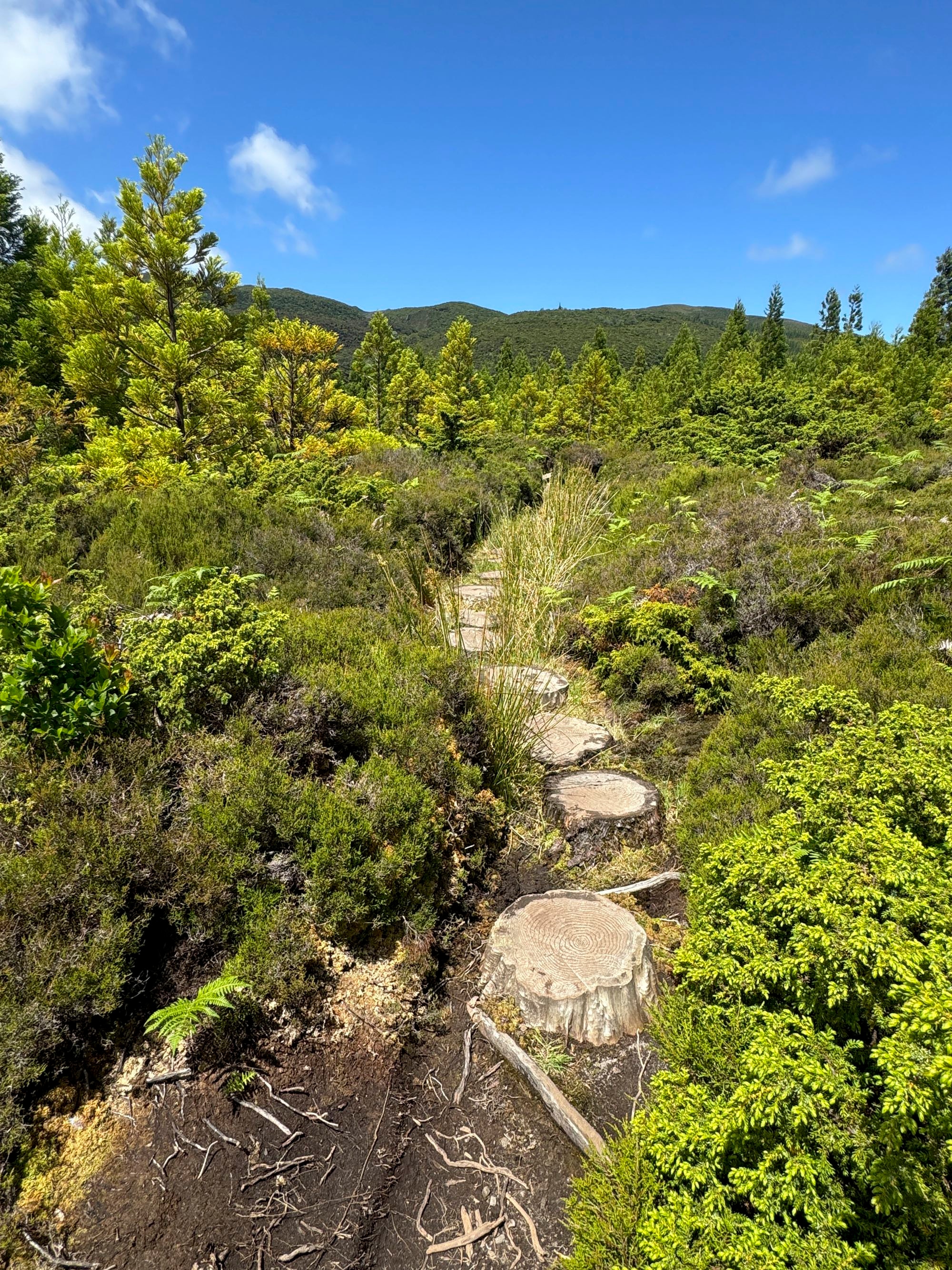 Die Wanderung führt durch einsame Natur