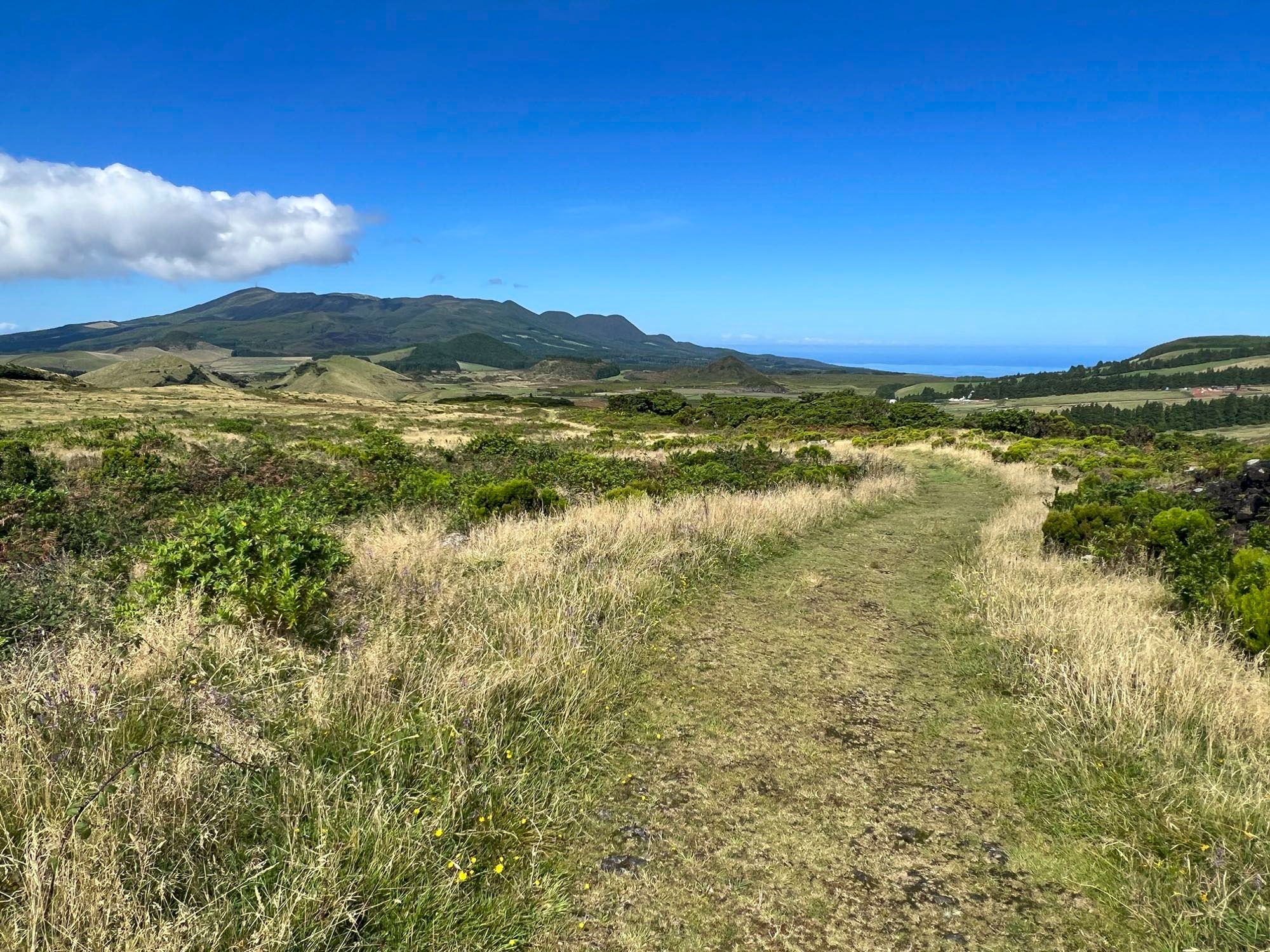 Bequemer Wegabschnitt auf einem Grasweg. Hinten die Serra de Santa Bárbara.