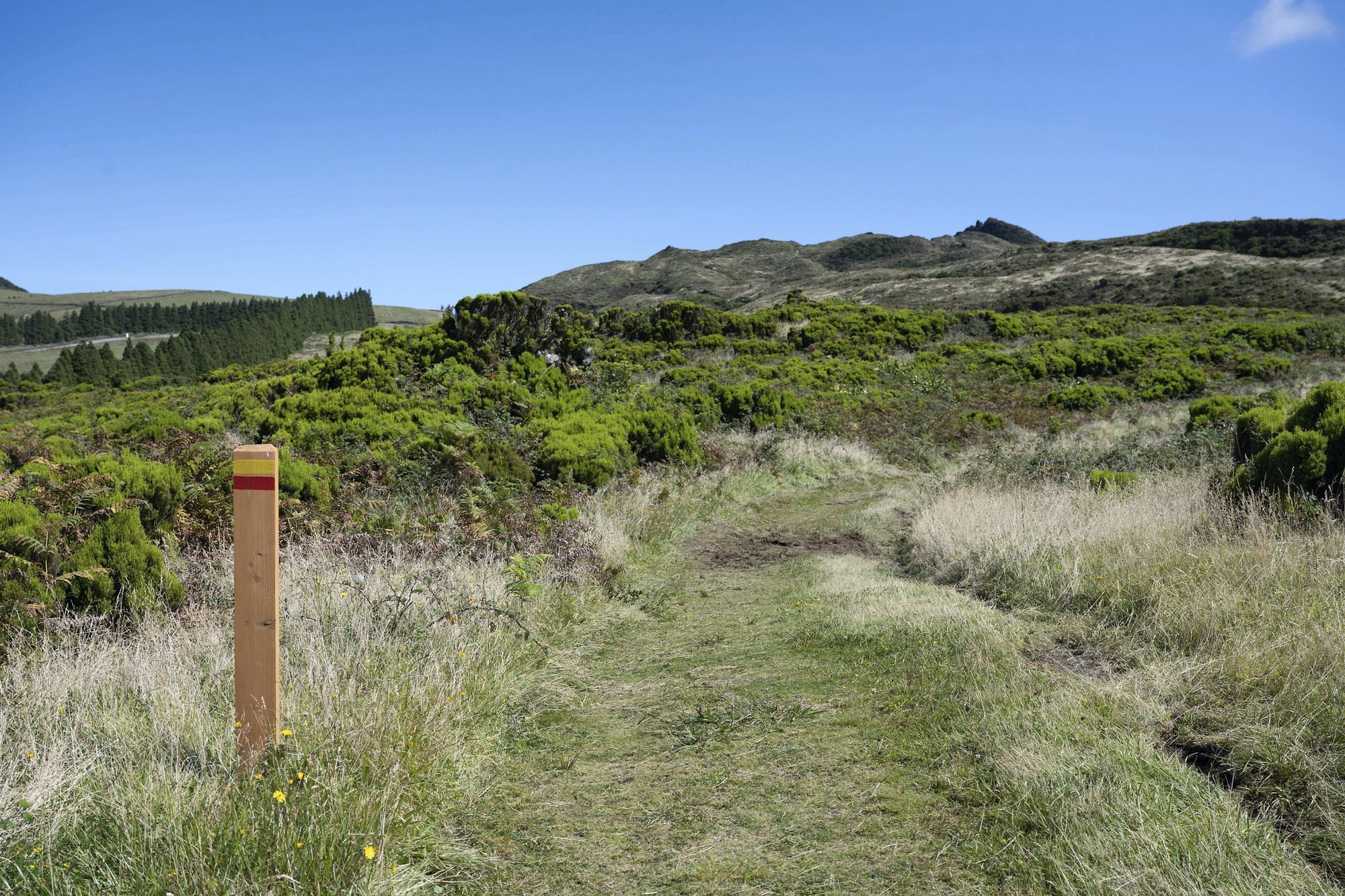Die Wanderung verläuft über saftige Hochlandwiesen