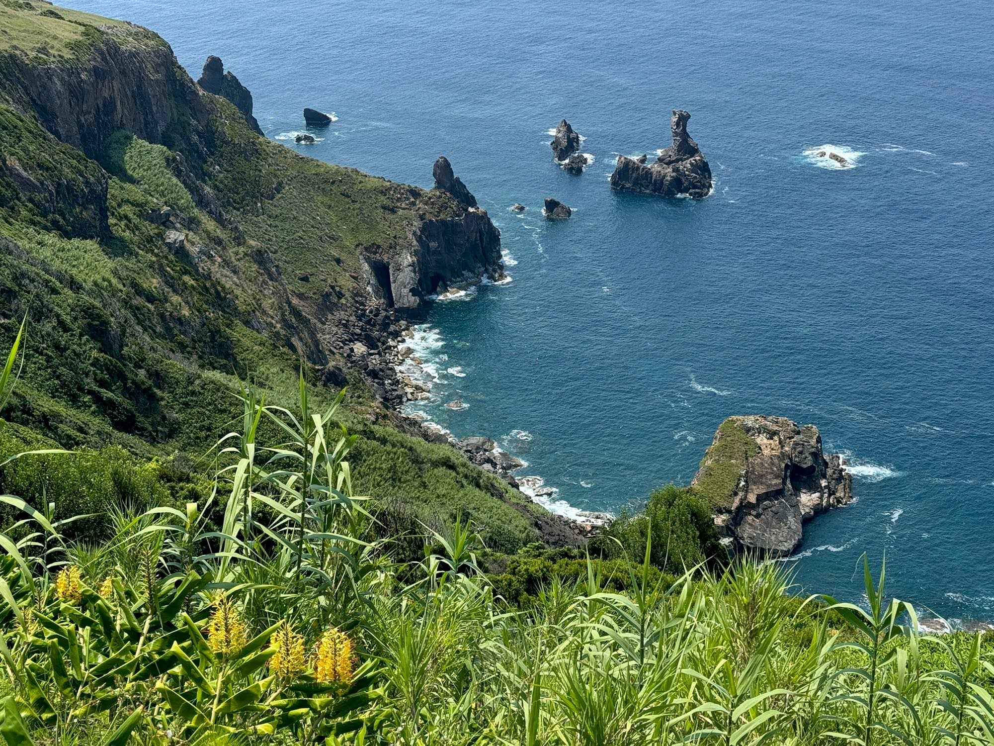 Blick auf die Ponta dos Ilhéus