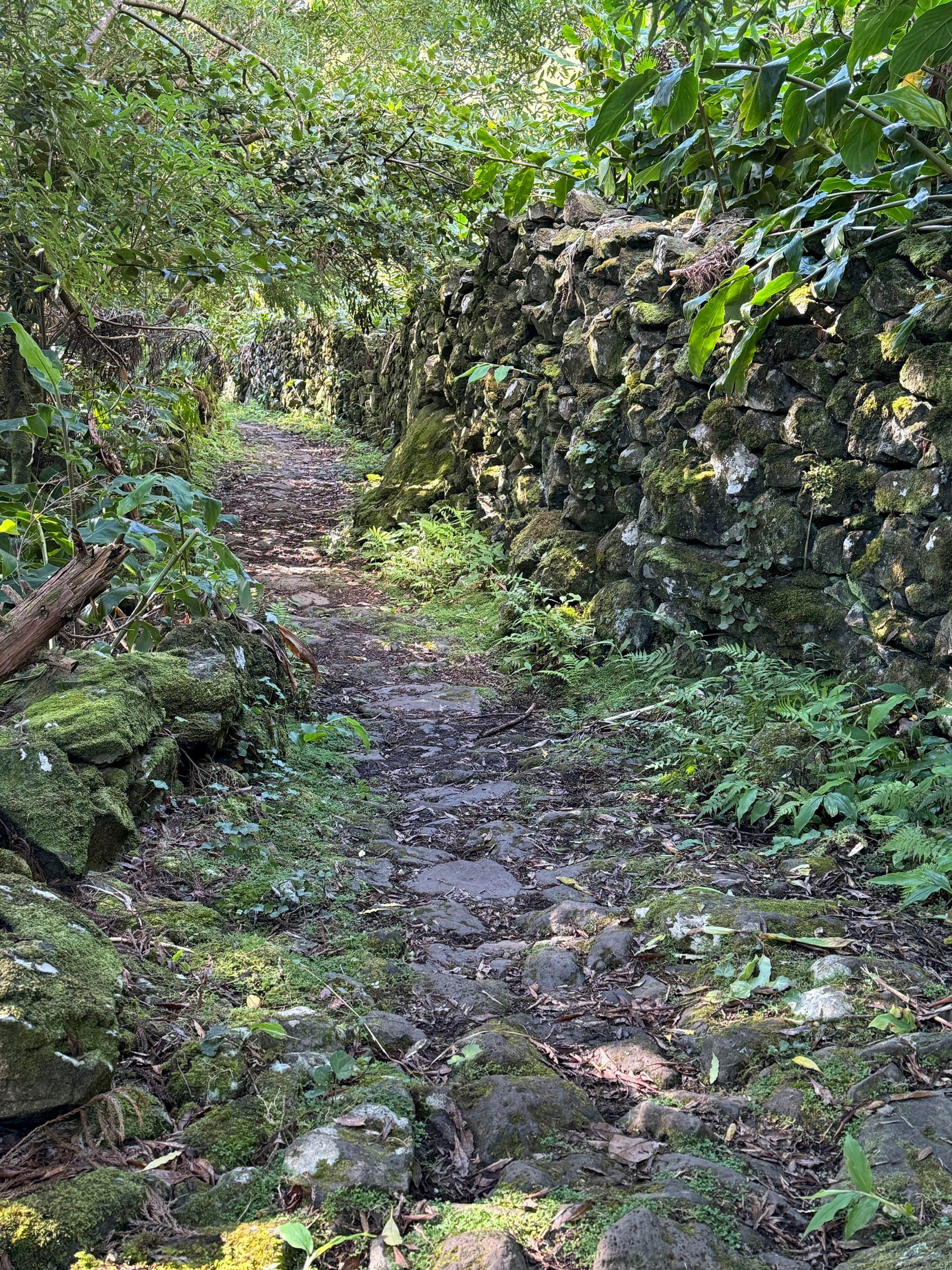 Wegabschnitt zwischen Fajã Grande und Cuada