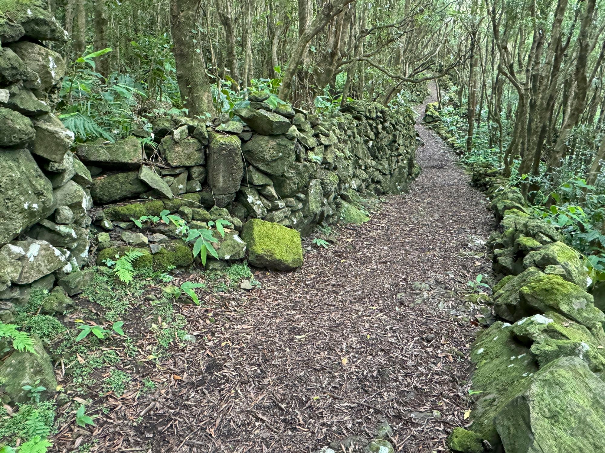 Wegabschnitt vor Cuada