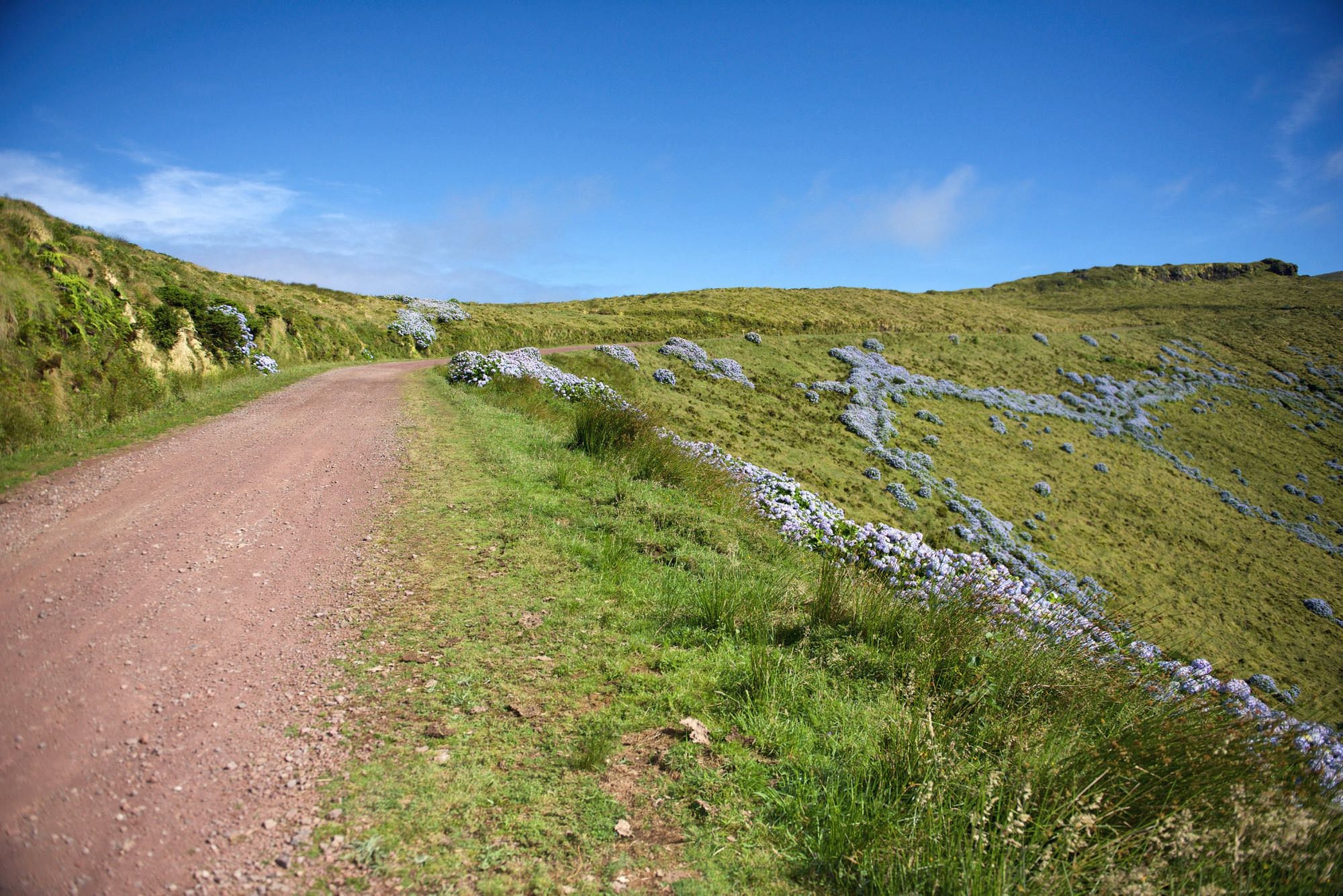 Die breite Schotterpiste führt bis auf den Morro Alto hinauf