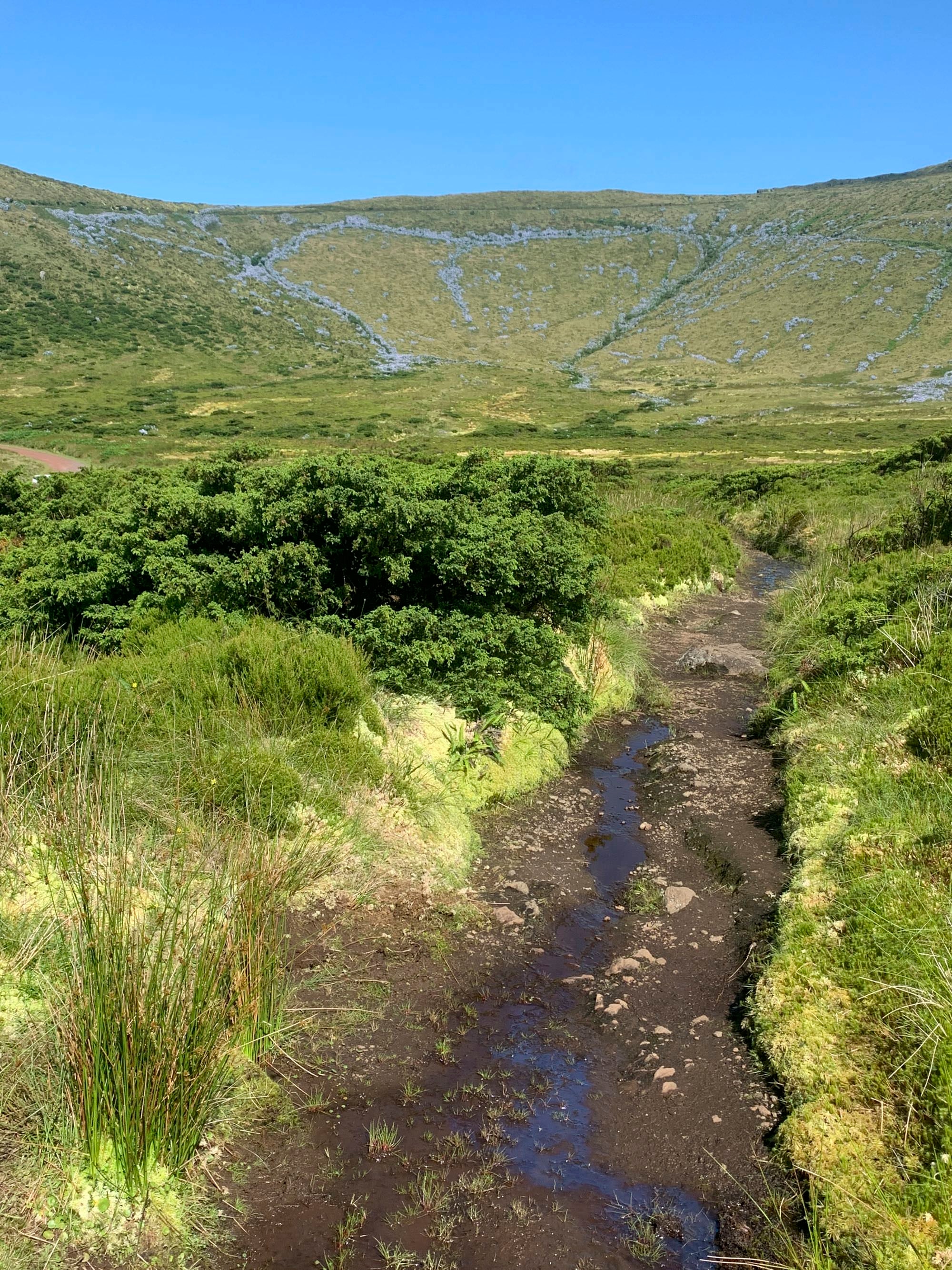 Ein sumpfiger Pfad führt bis an die Caldeira da Água Branca