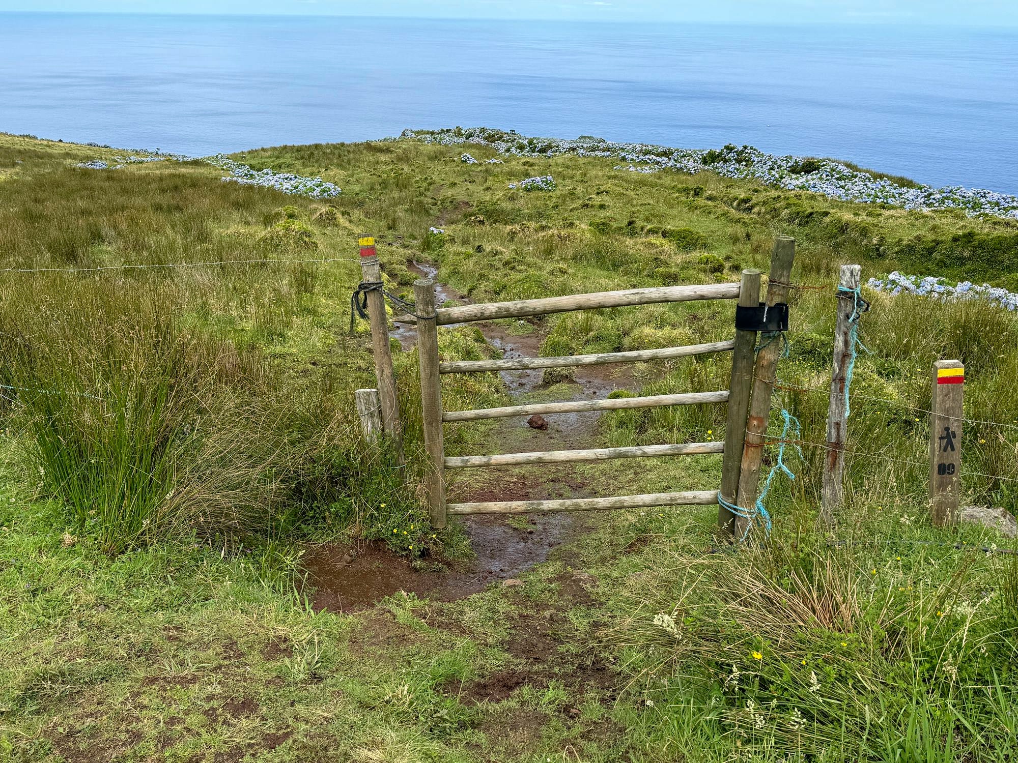 Hinter dem Holzgatter beginnt der Abstiegspfad nach Fajã Grande