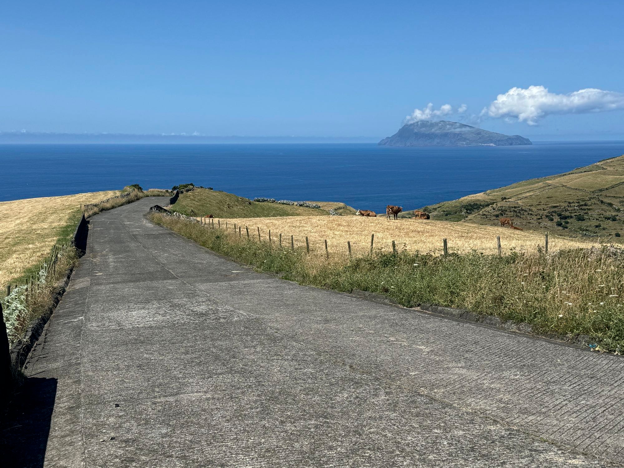 Eine Betonstraße führt Richtung Ponta Delgada hinab