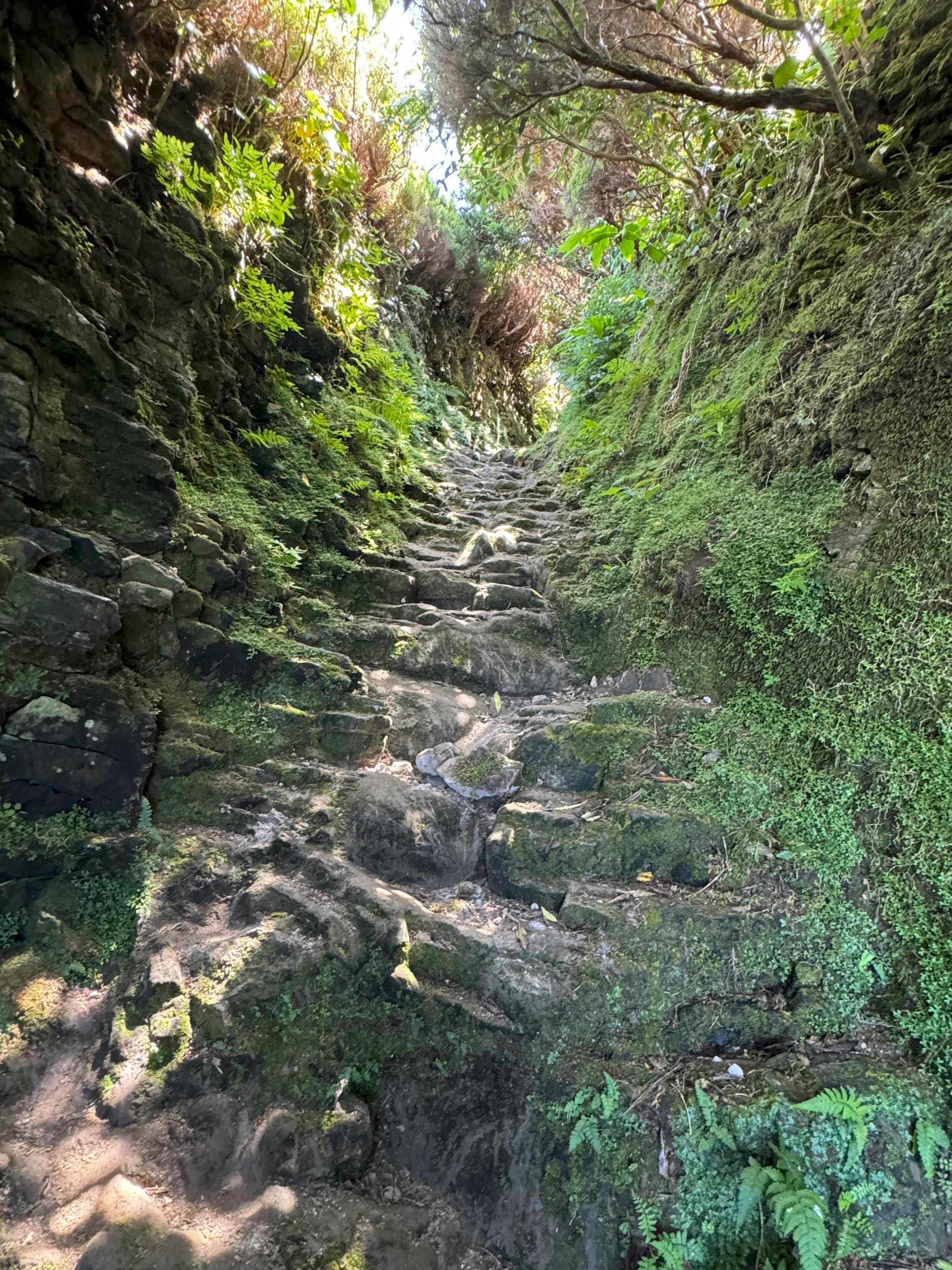 Der alte Verbindungsweg zwischen Ponta da Fajã und Ponta Delgada