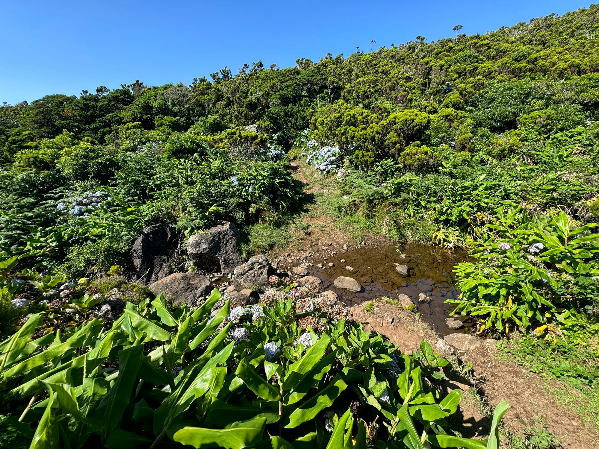 Ribeira do Monte Gordo