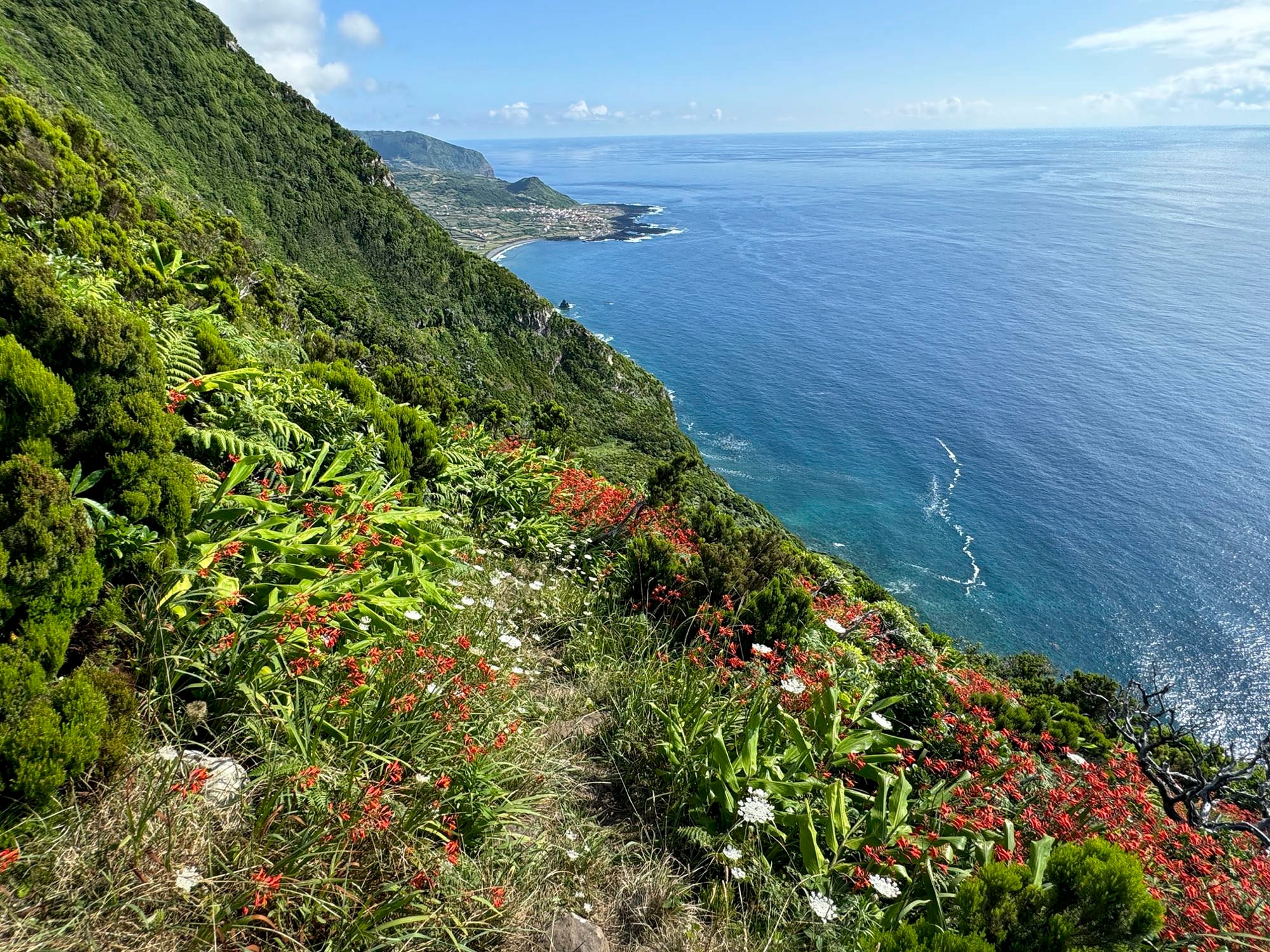 Blick zurück Richtung Fajã Grande