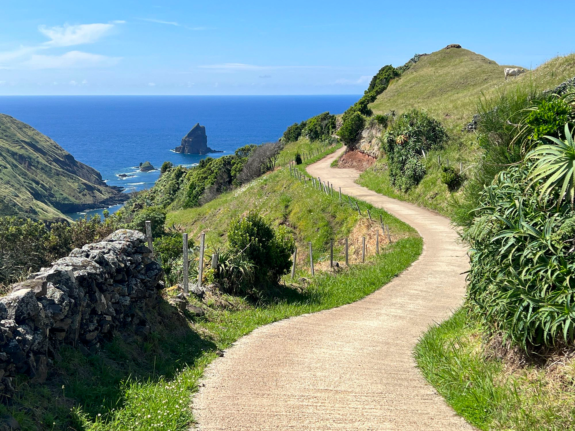 Auf dem Weg zur Baía do Tagarete