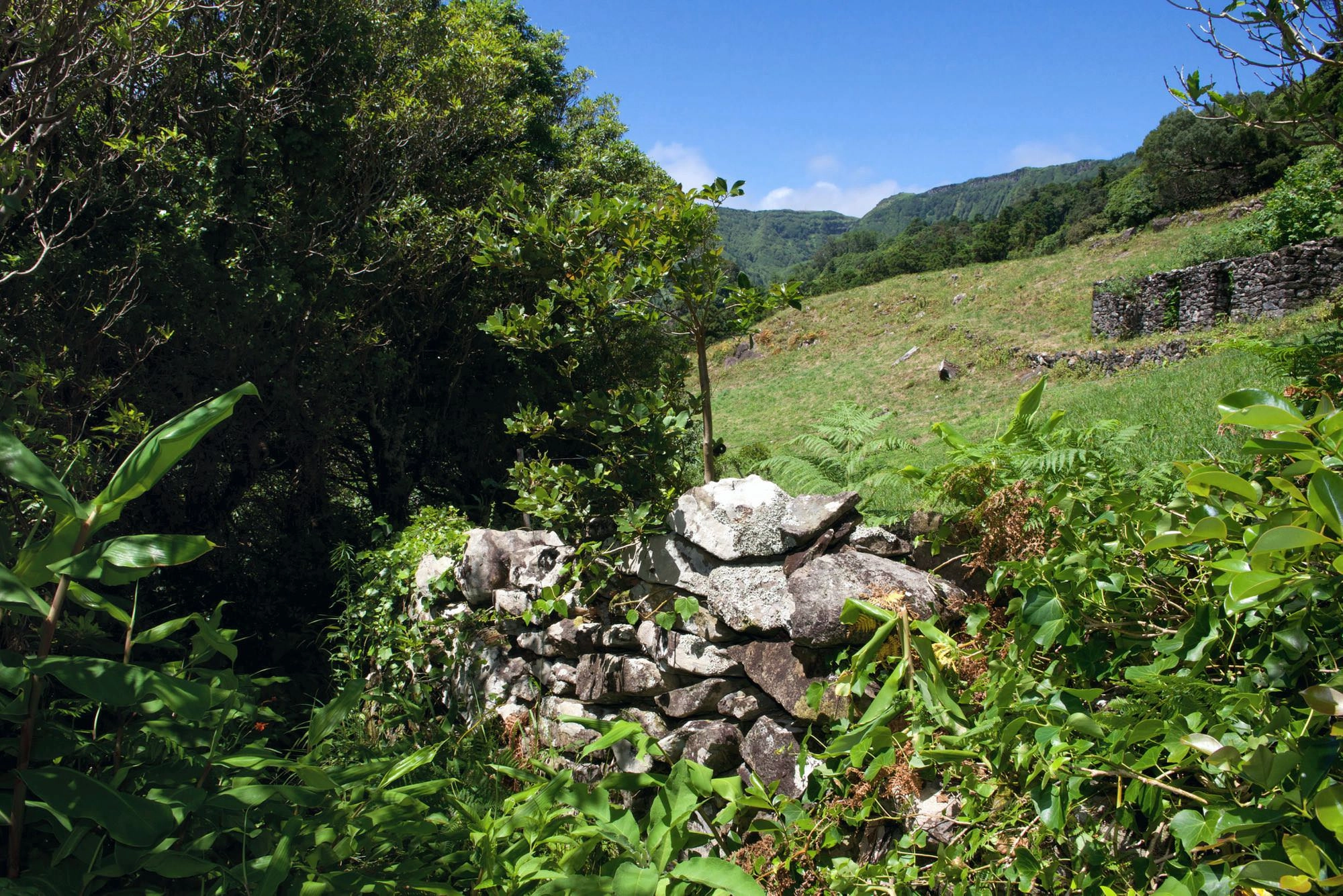 Im Tal des Ribeira da Cruz