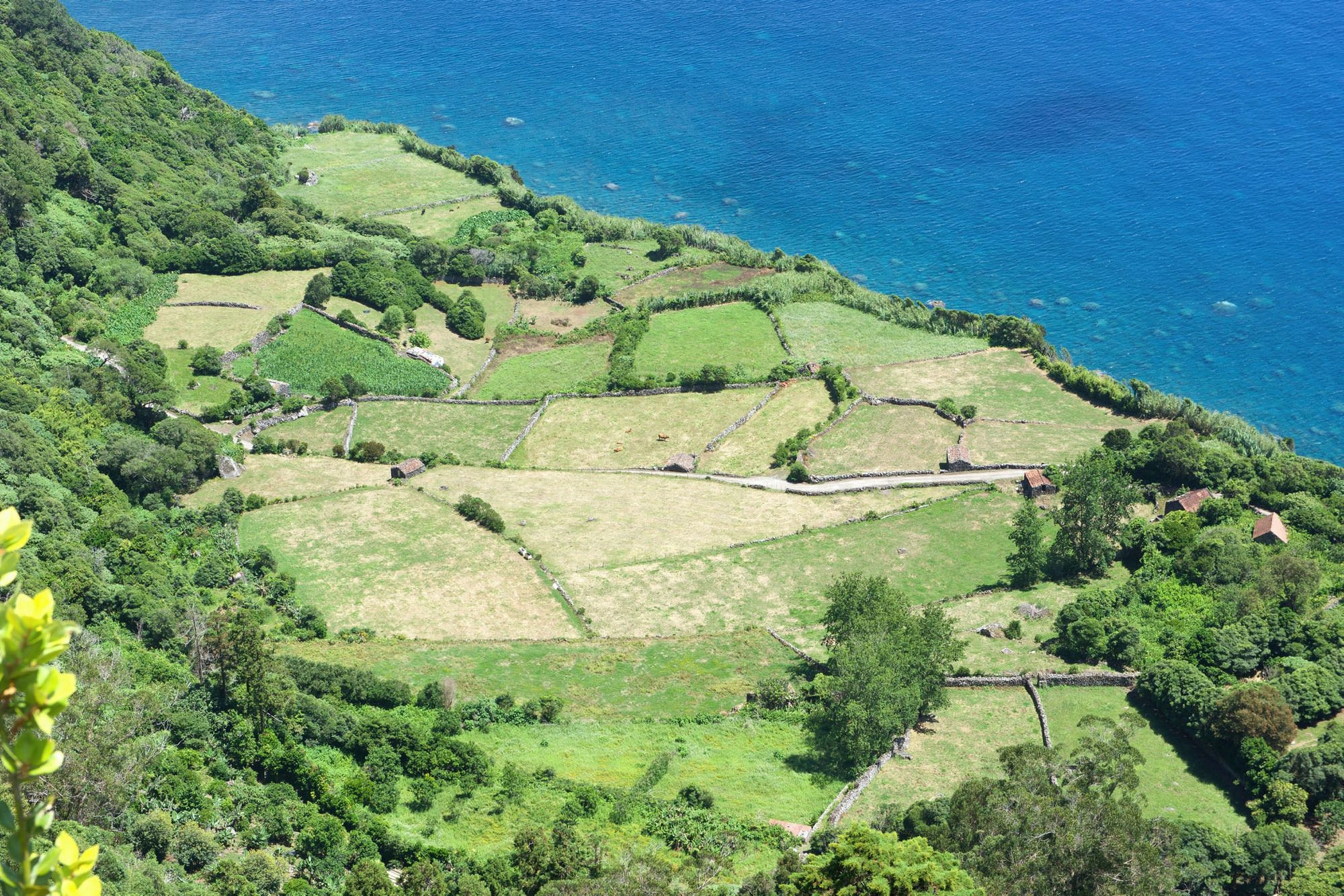 Blick auf Fajã do Conde
