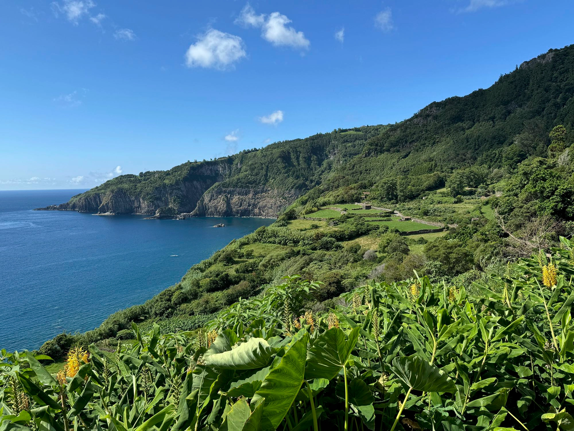 Blick über Fajã do Conde
