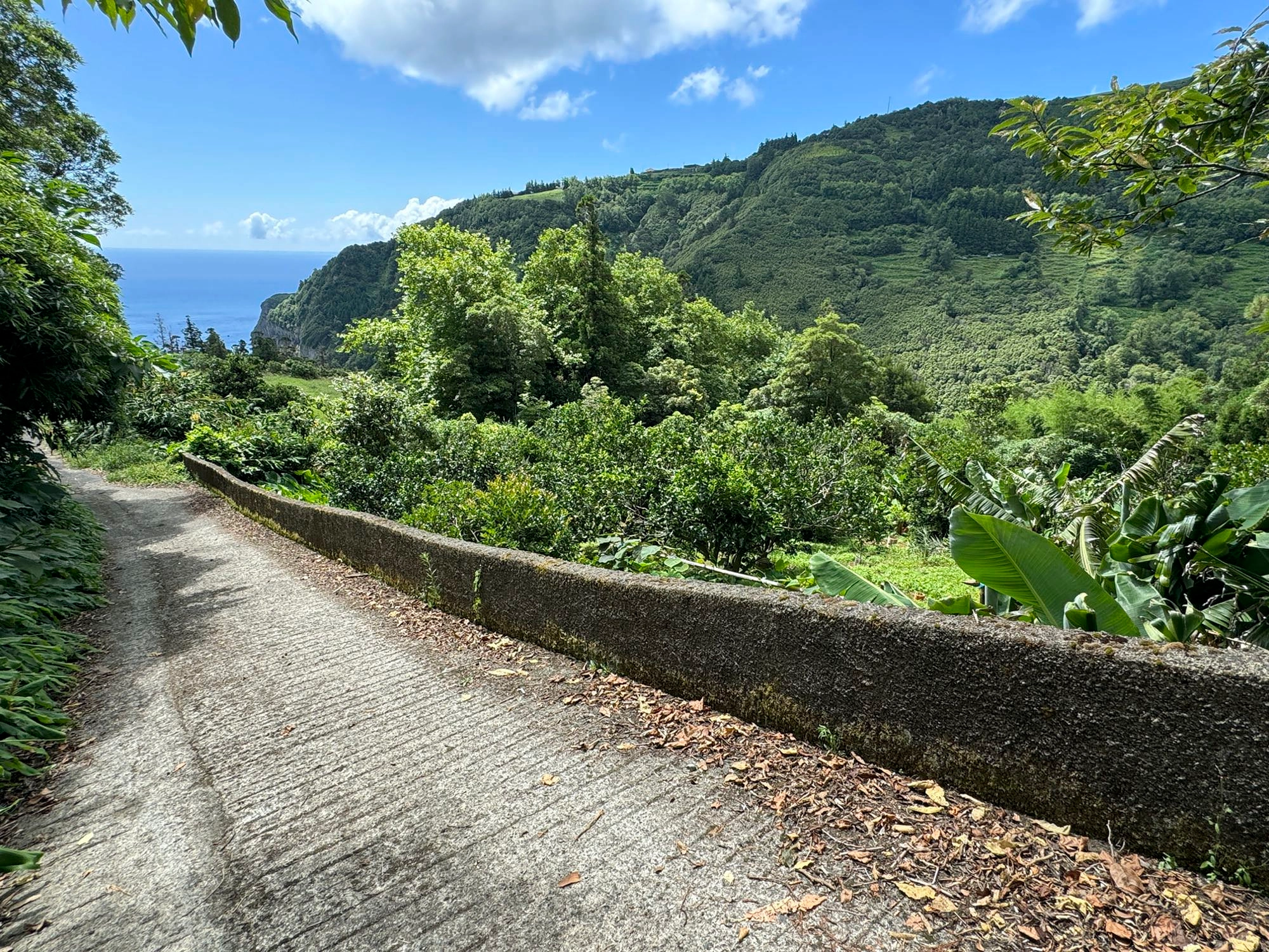 Aufstieg im Tal des Ribeira da Cruz