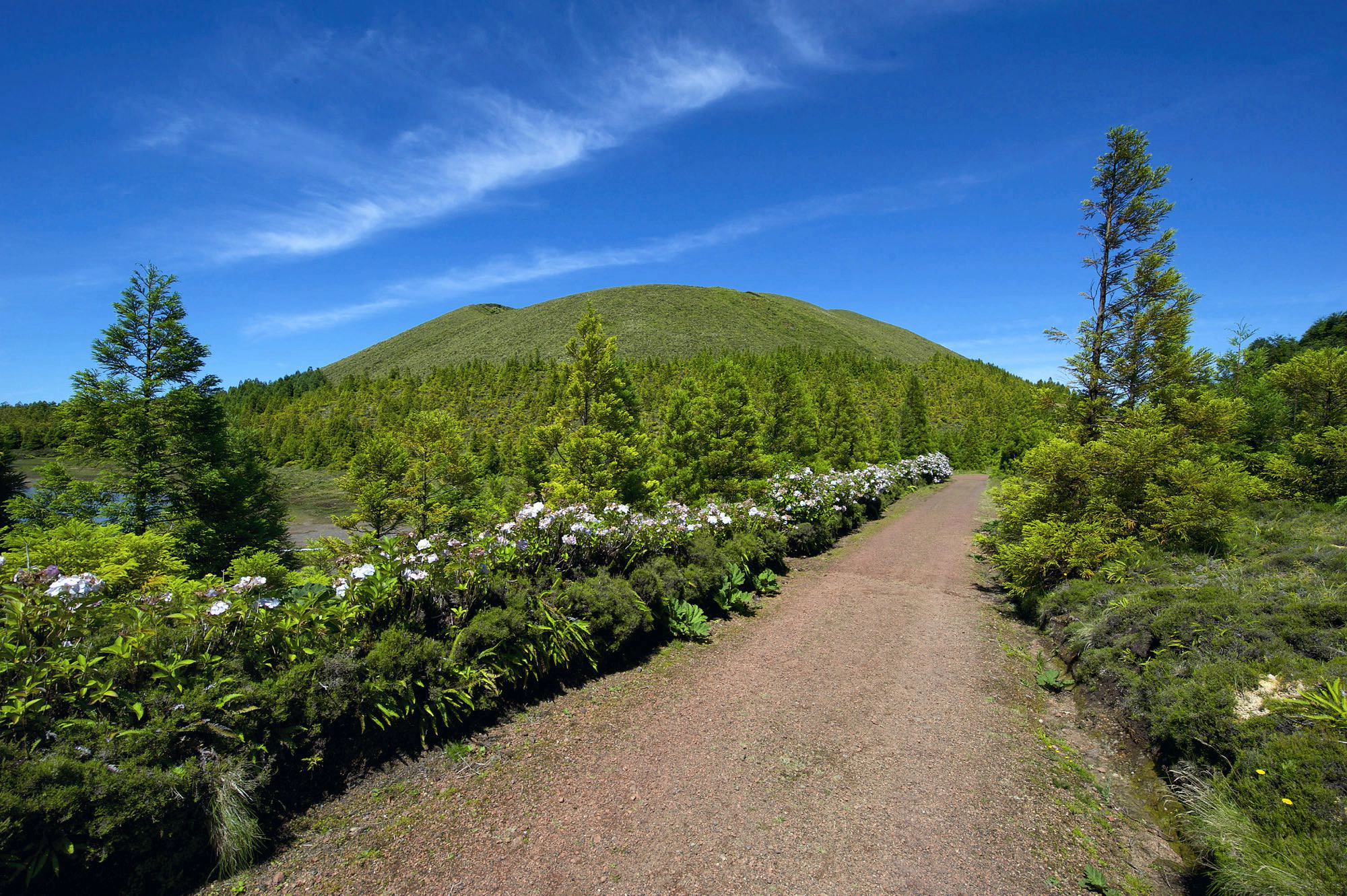 Wegabschnitt am Lagoa Rasa