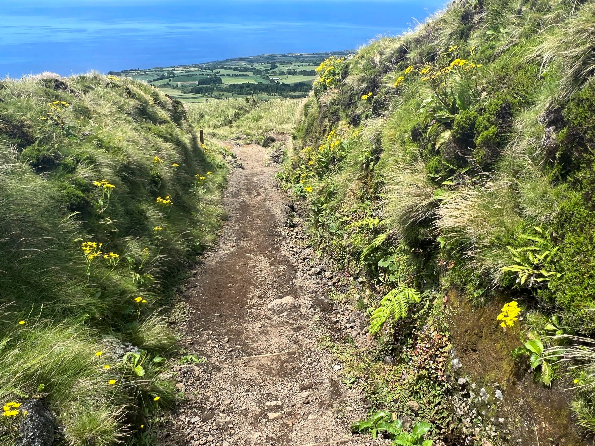 Abstieg vom Pico das Éguas