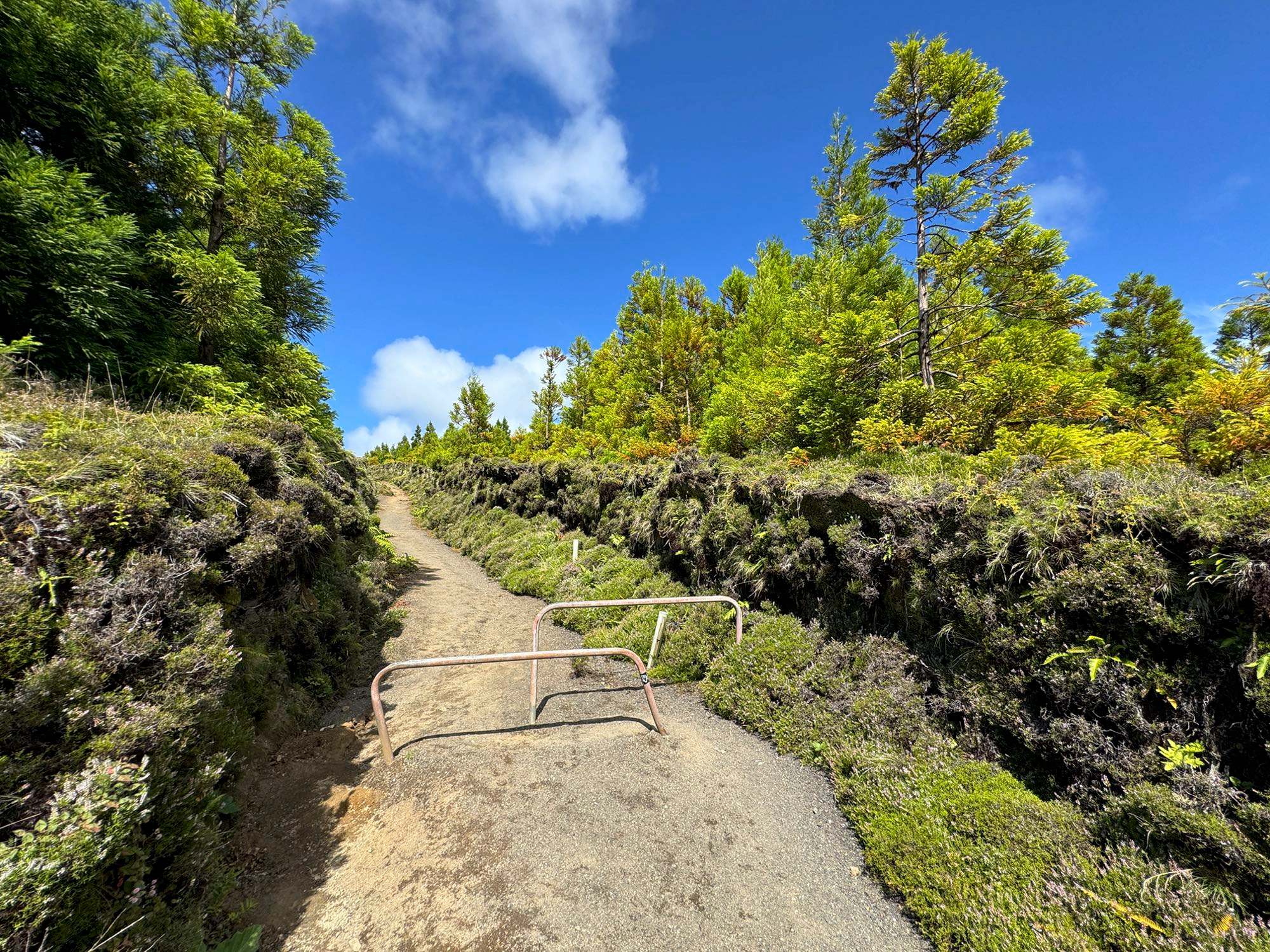 Wegabschnitt am Lagoa Rasa