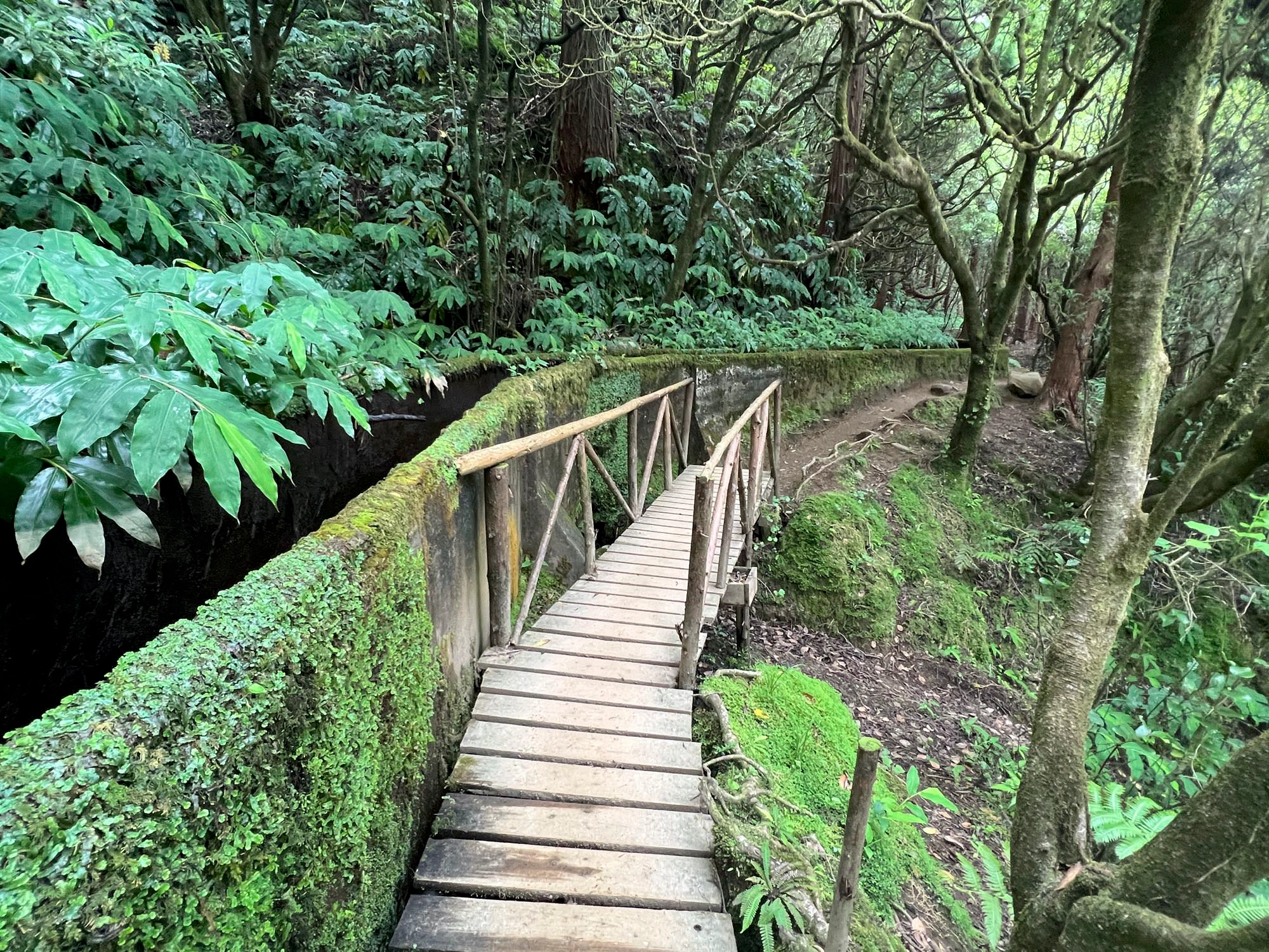 Wanderweg entlang der Levada