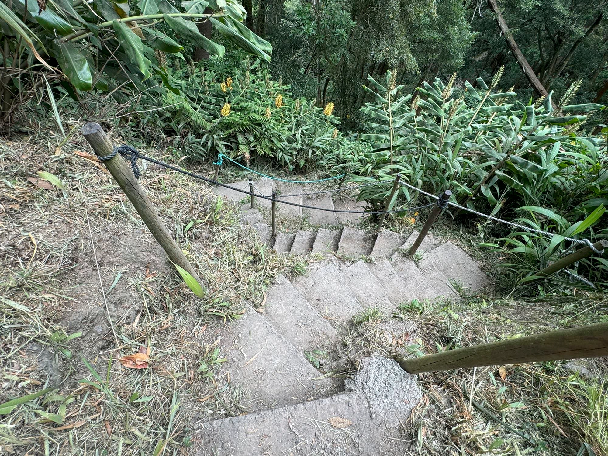 Steilabstieg zur Fábrica da Cidade