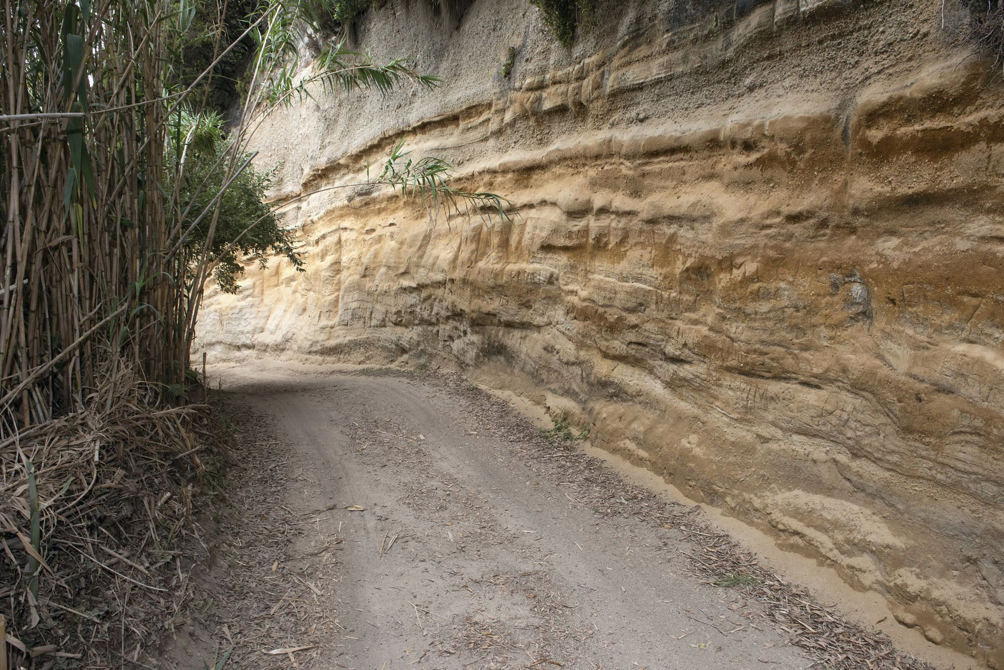 Wegabschnitt oberhalb von Ribeira Quente