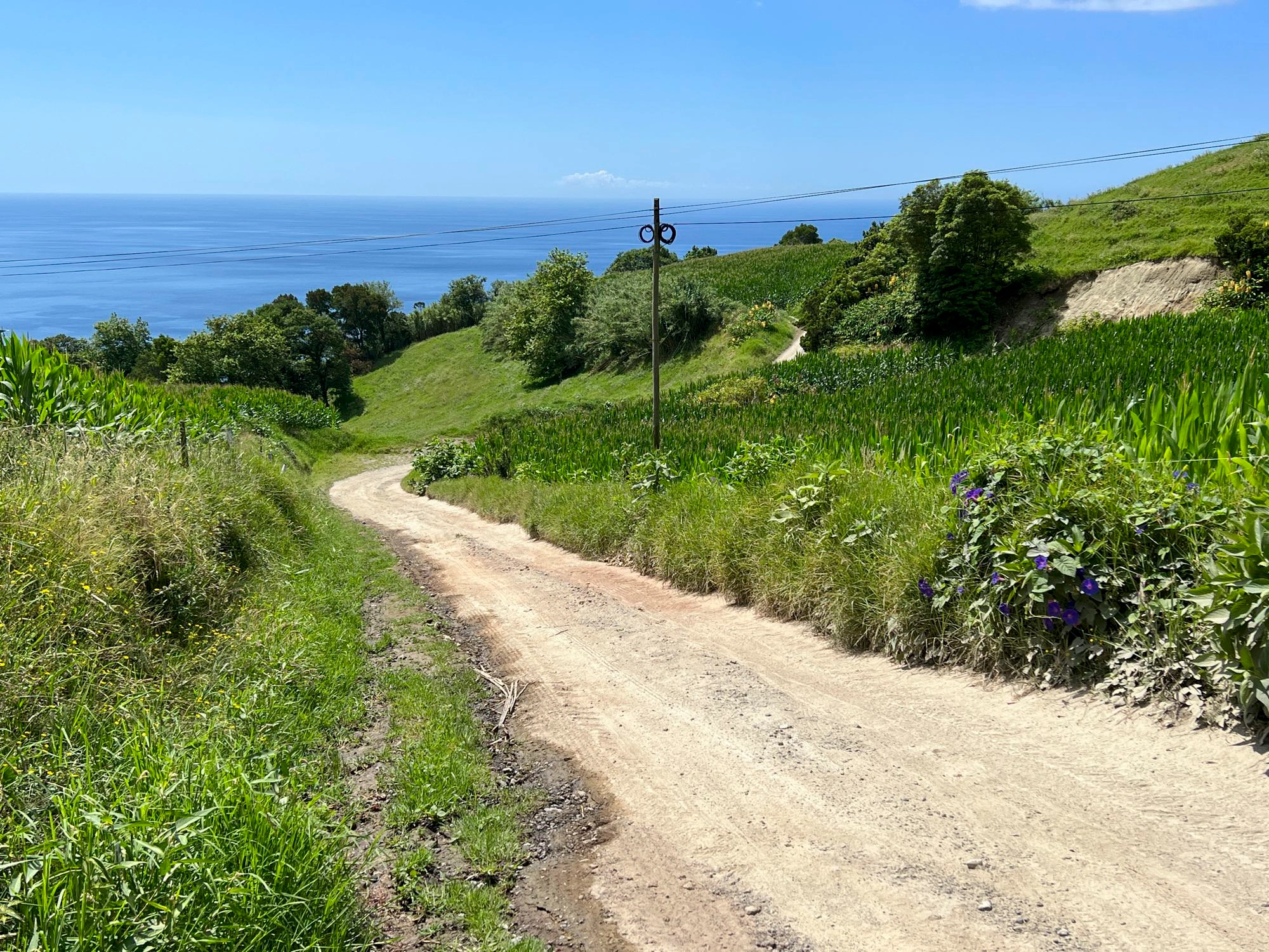 Wegabschnitt oberhalb von Agrião